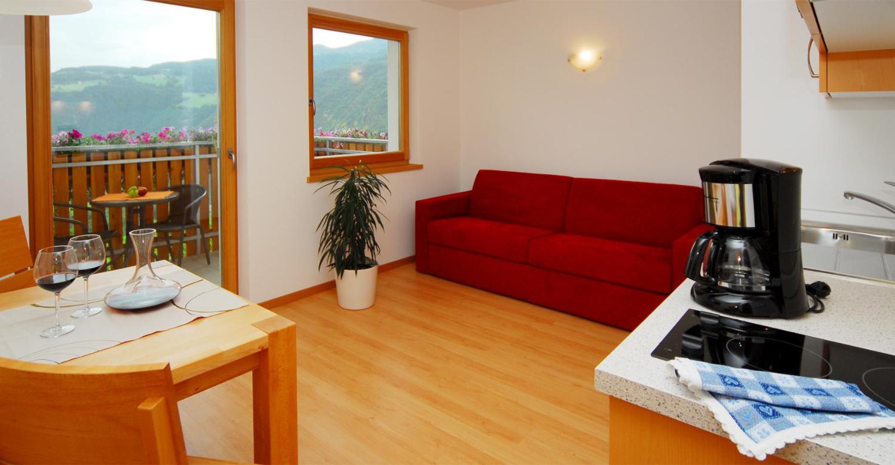 One-Bedroom Apartment (2 - 4 Adults)
