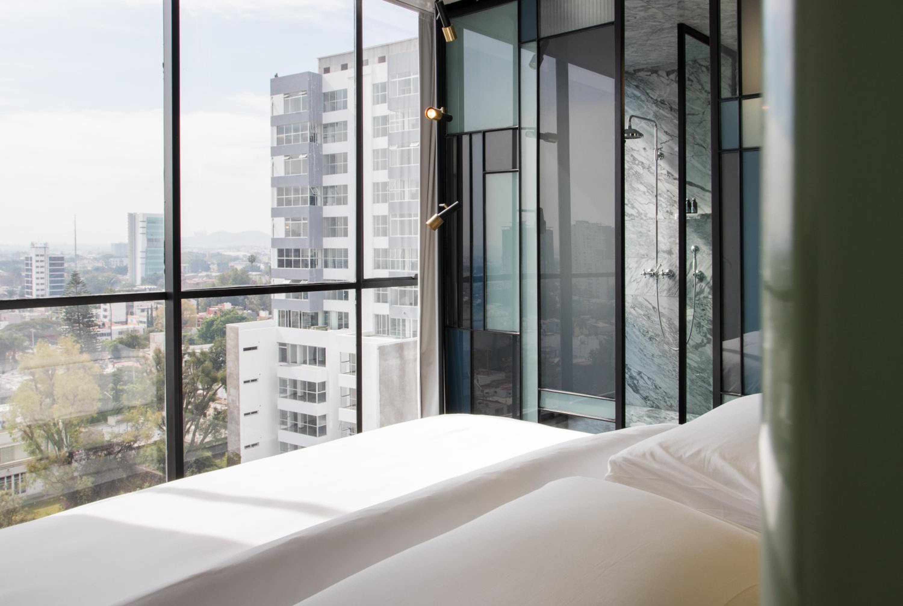 Suite - Photo 1