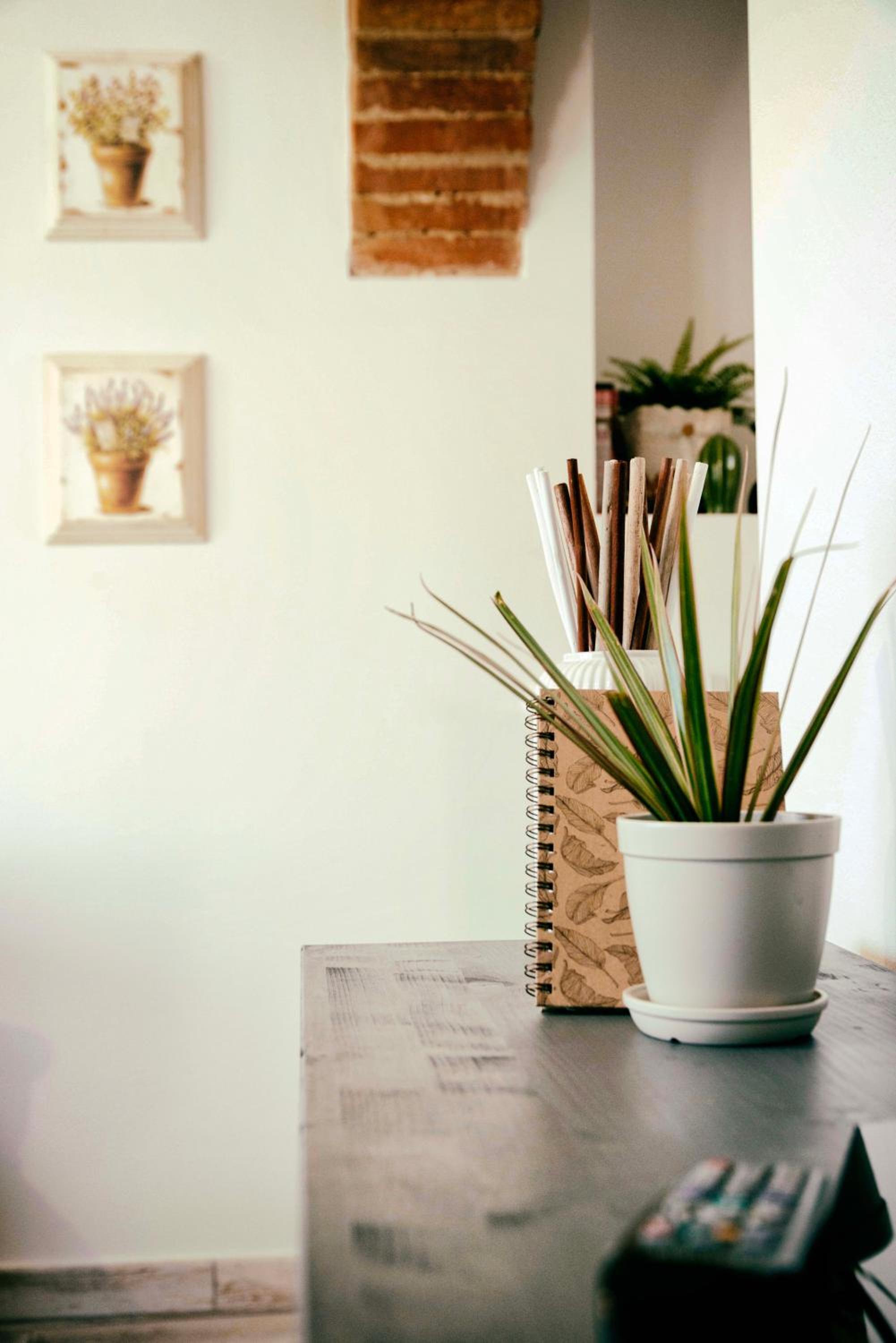 One-Bedroom Apartment - Photo 23