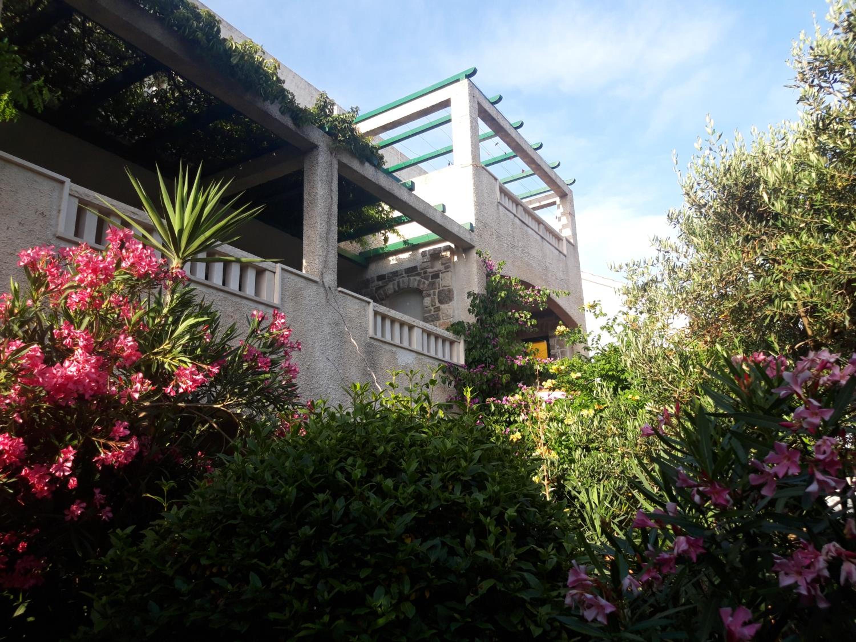 Apartment with Garden View photo 1