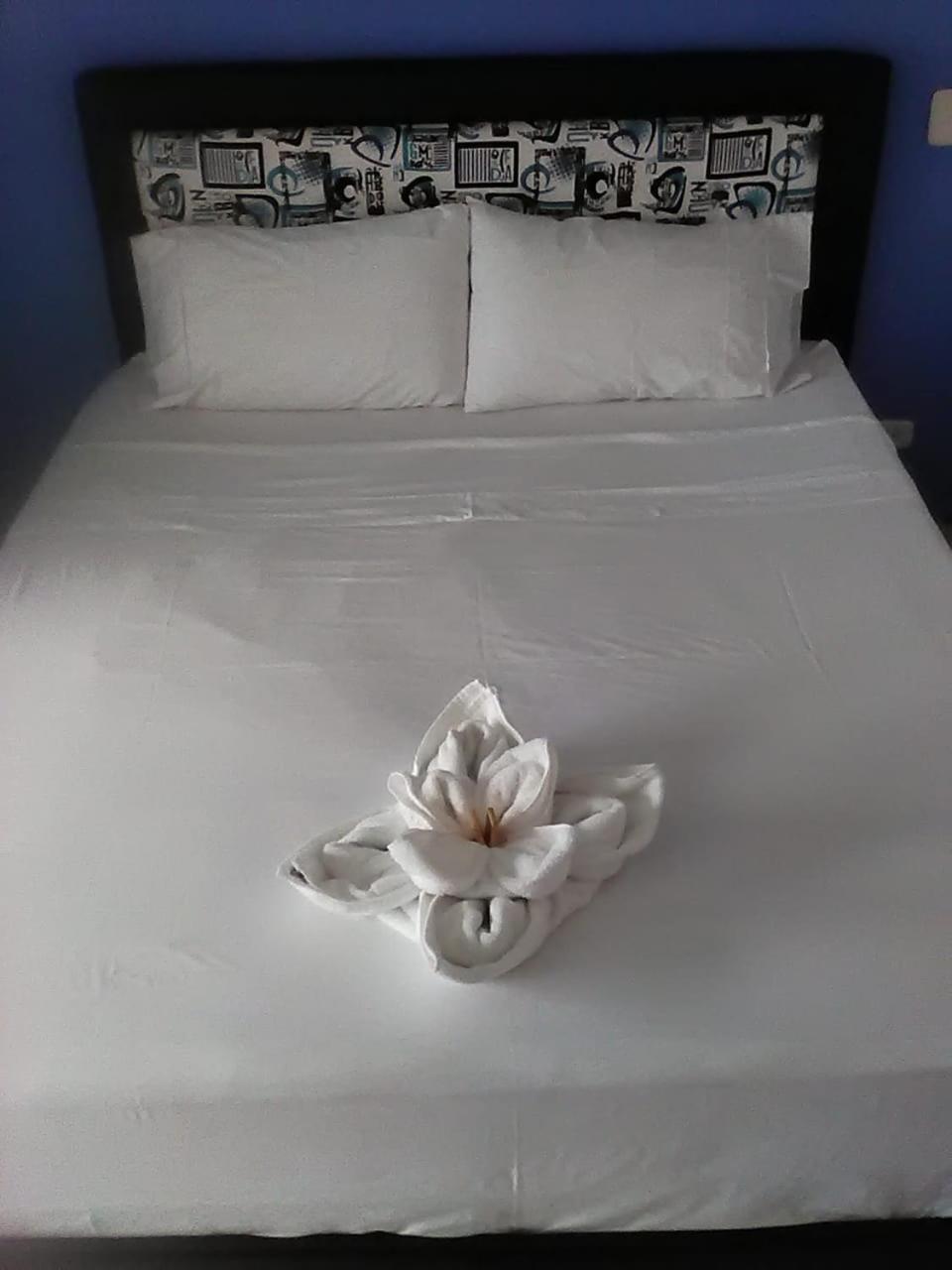 Deluxe Queen Room photo 2