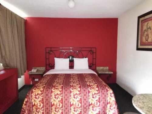 Single Room photo 1