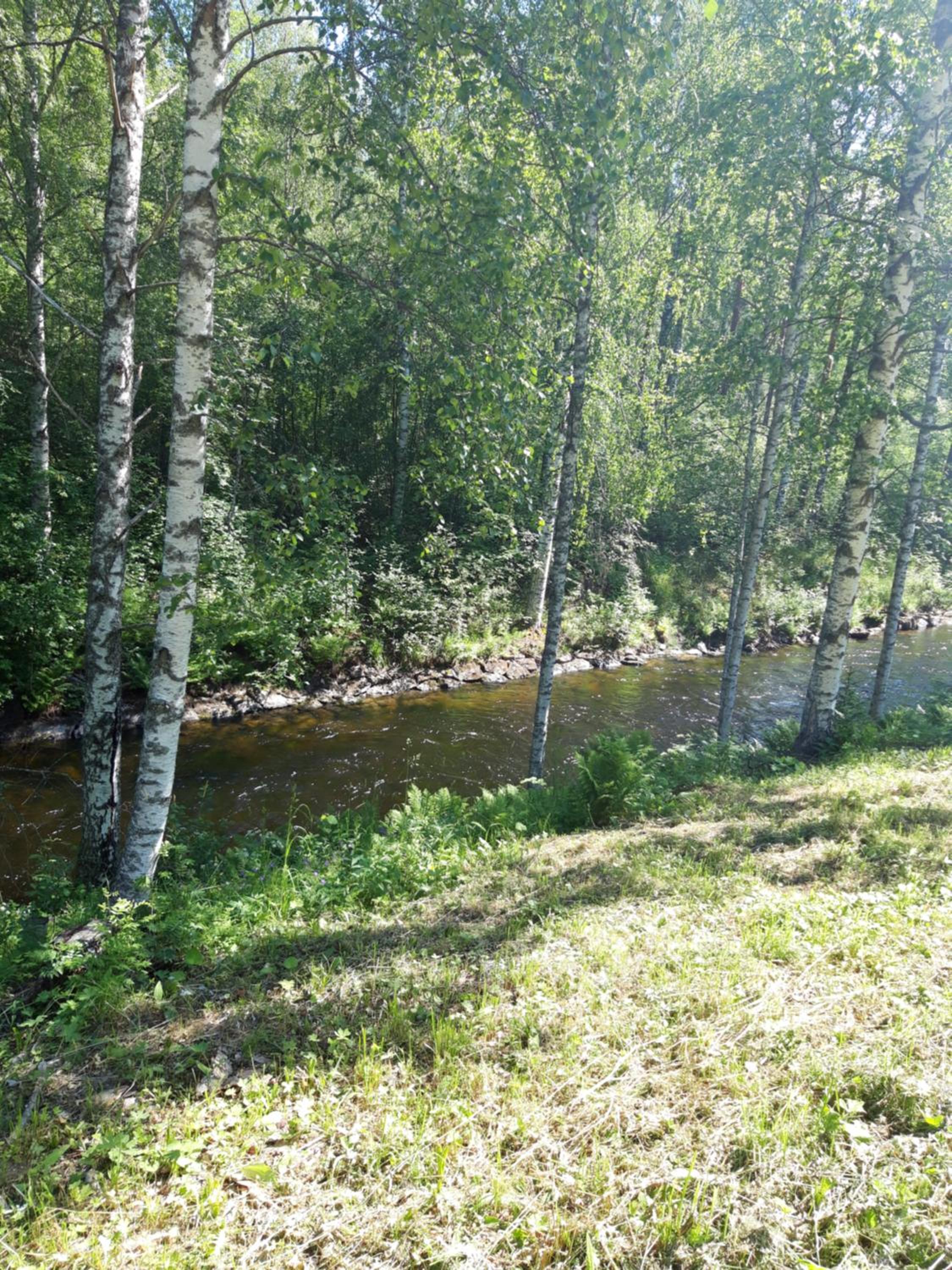 Apartment with Sauna photo 2