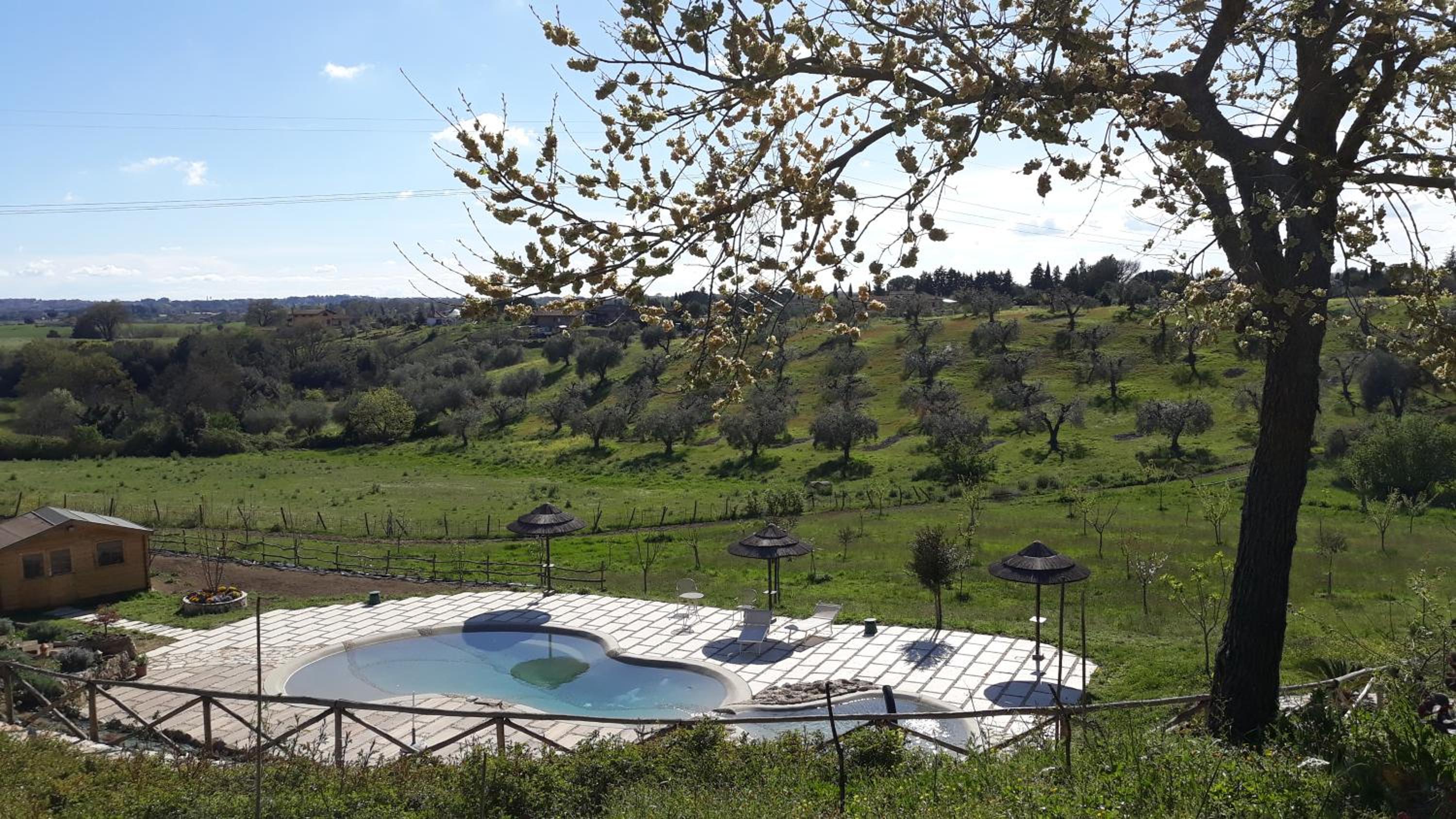 Vacation Home photo 3