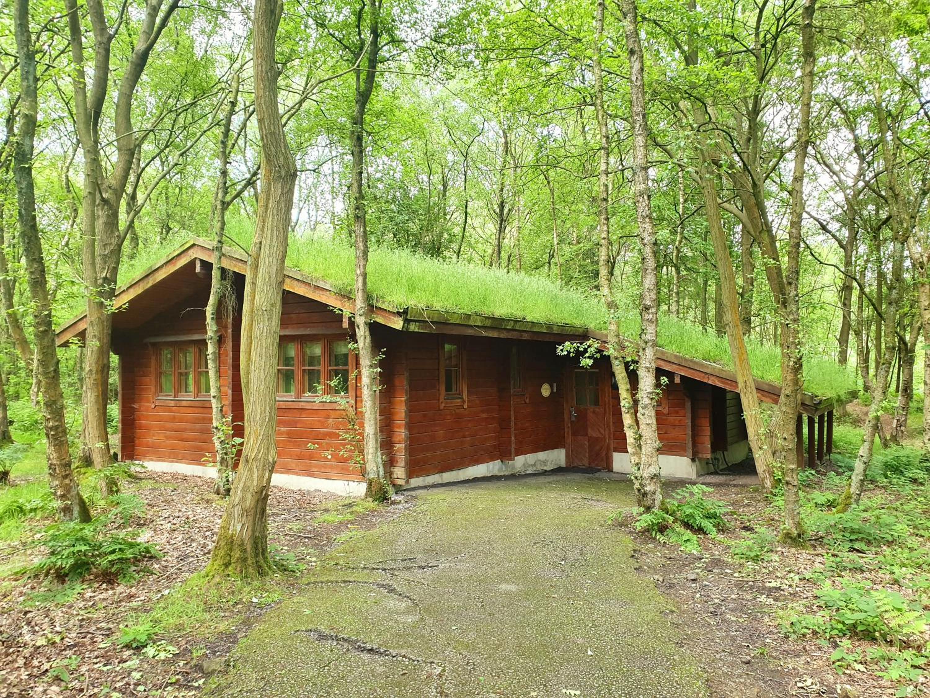 Woodland Lodge - self catering - Photo 6