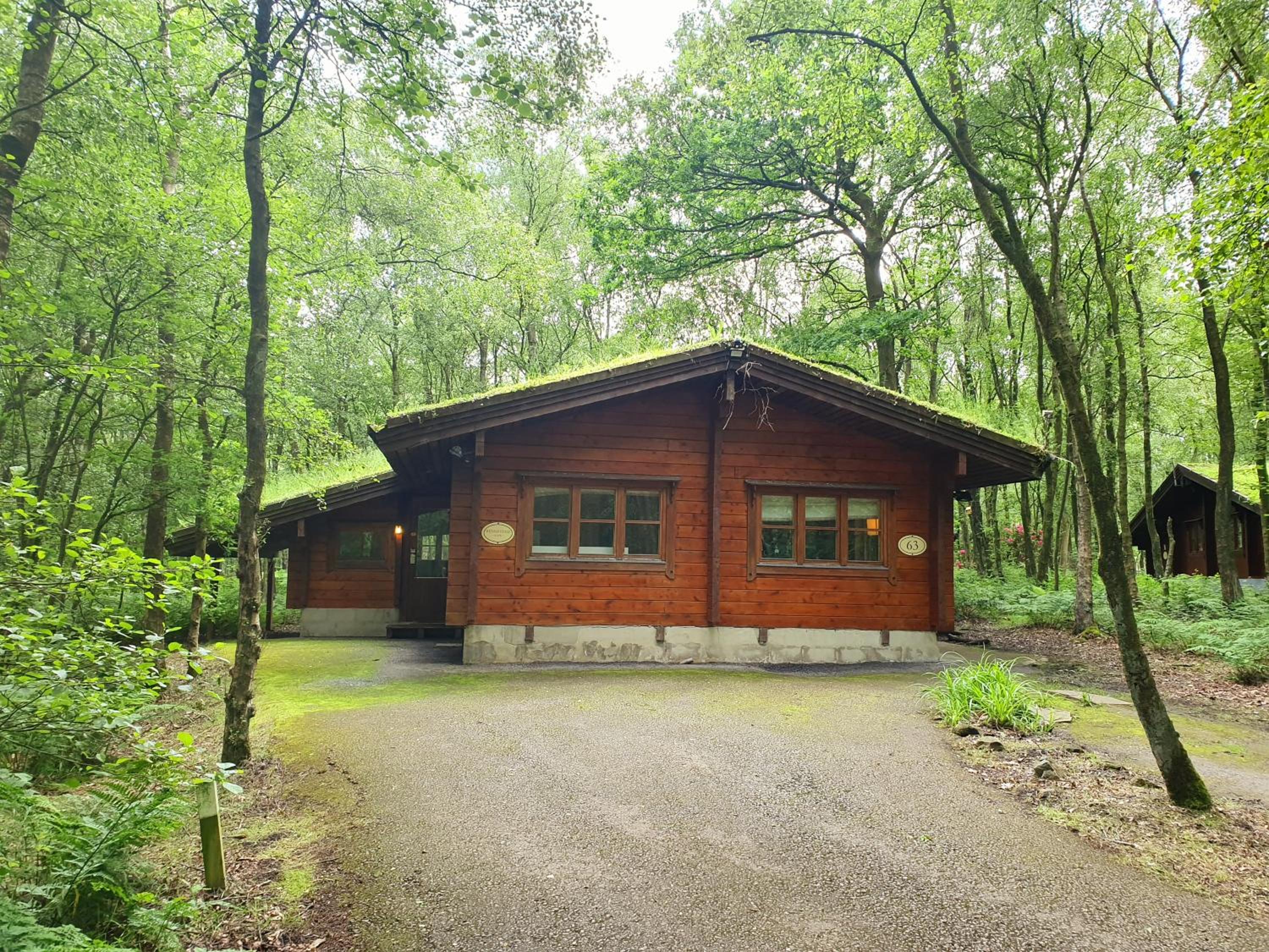 Woodland Lodge - self catering - Photo 5