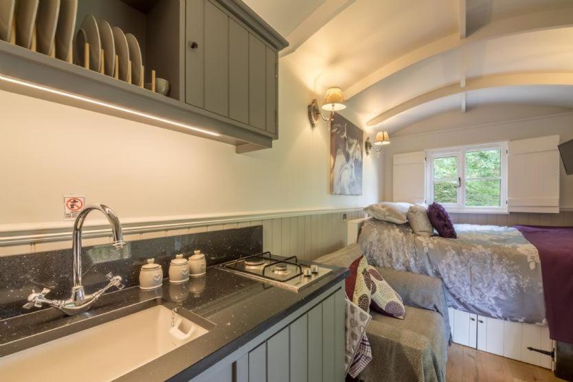 Whoa Stop - Shepherd Hut - Photo 12