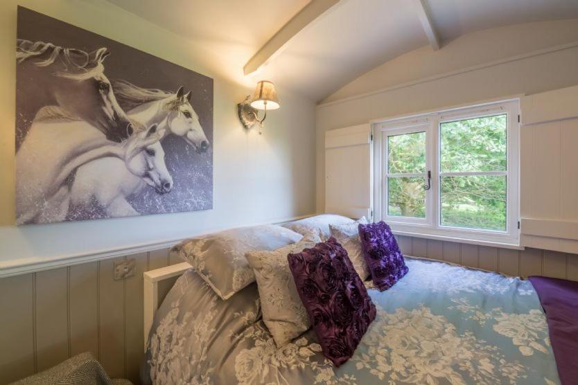 Whoa Stop - Shepherd Hut - Photo 2
