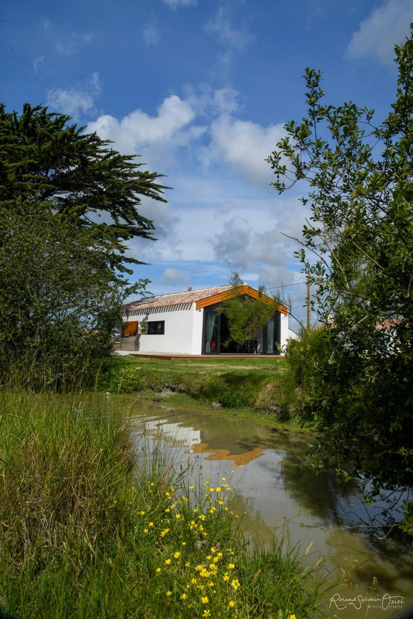 One-Bedroom House photo 3