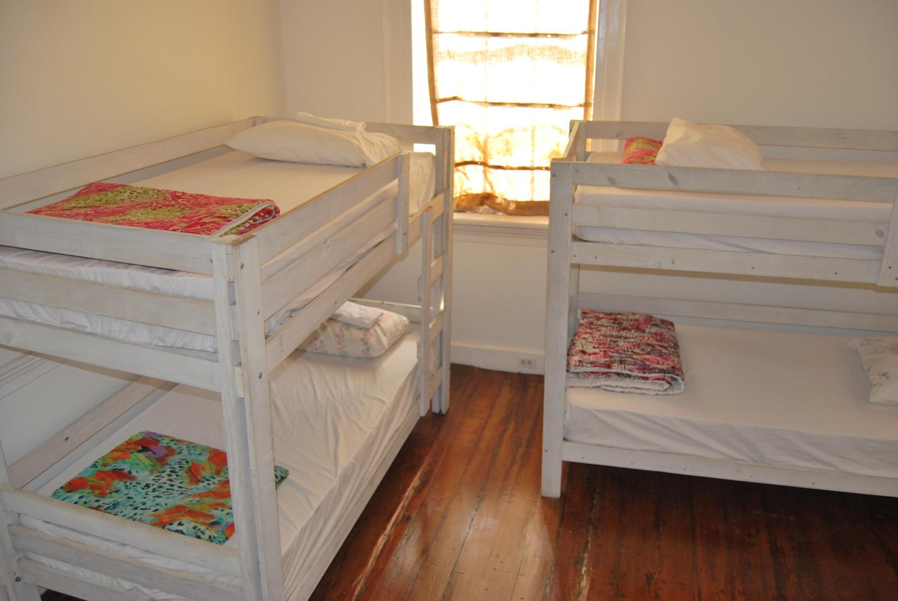 Bunk Bed in Mixed Dormitory Room photo 2