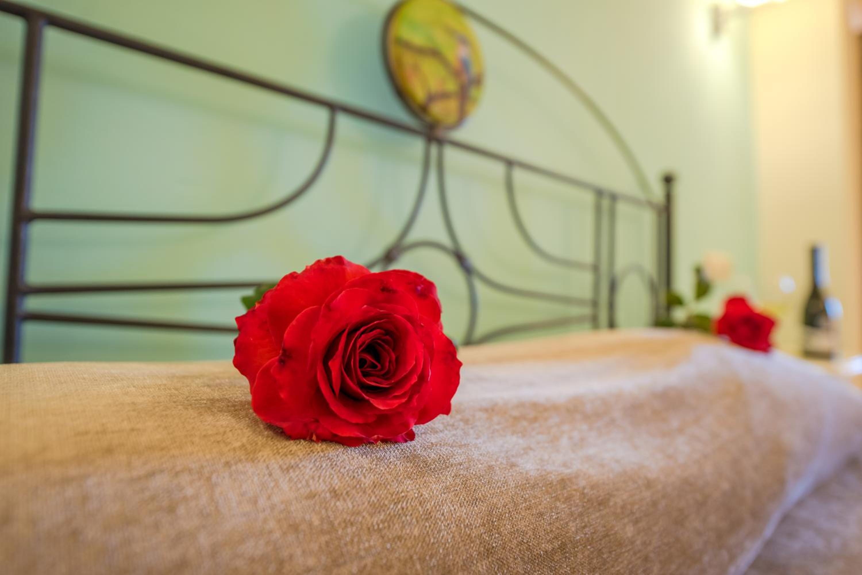 Junior Suite photo 3