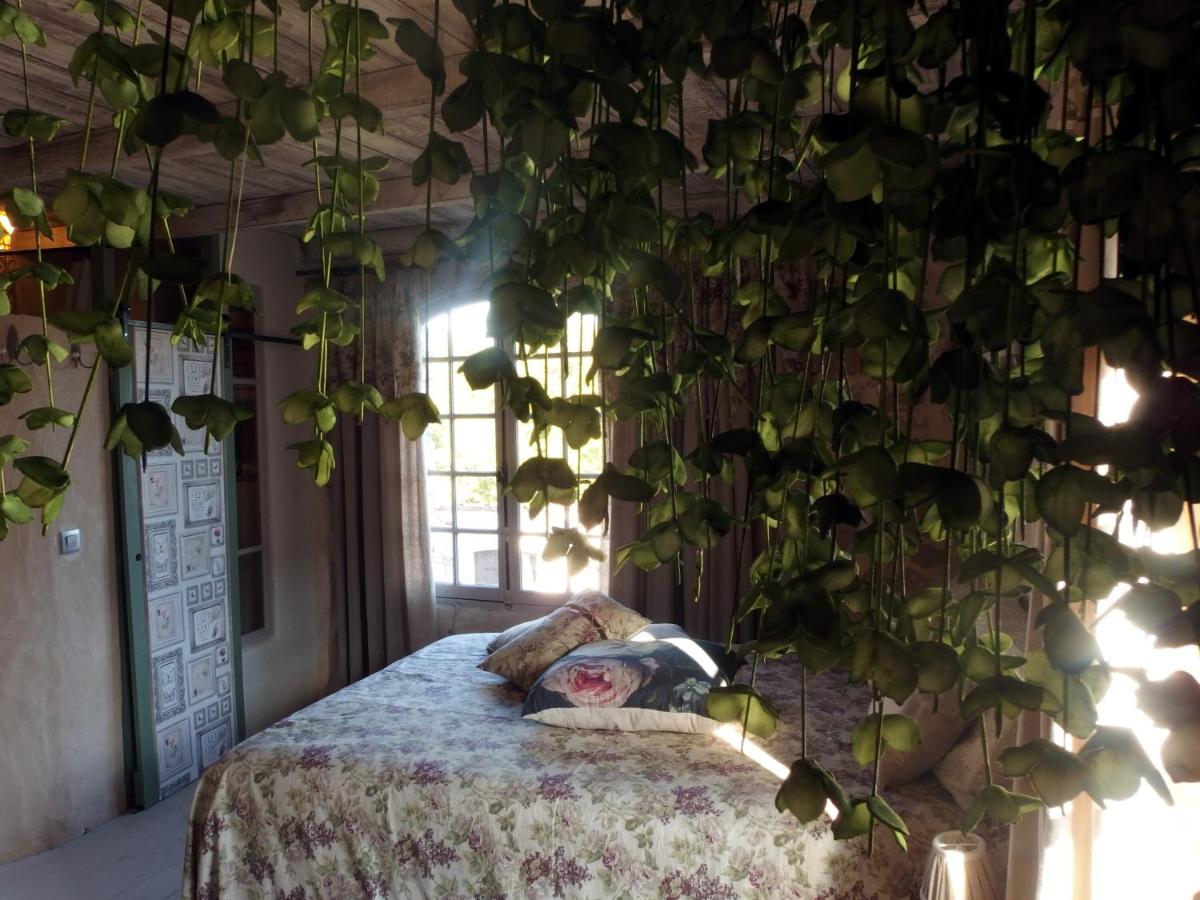 Apartment with Garden View photo 3