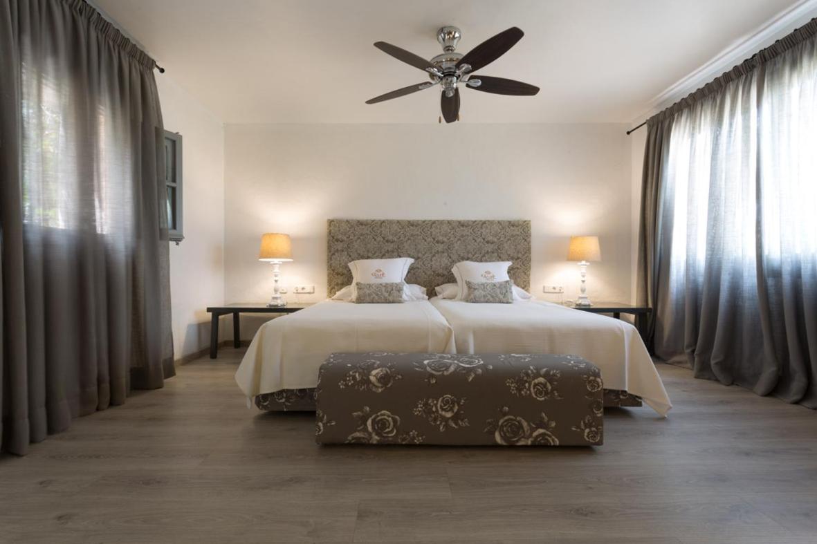 Suite - Photo 1