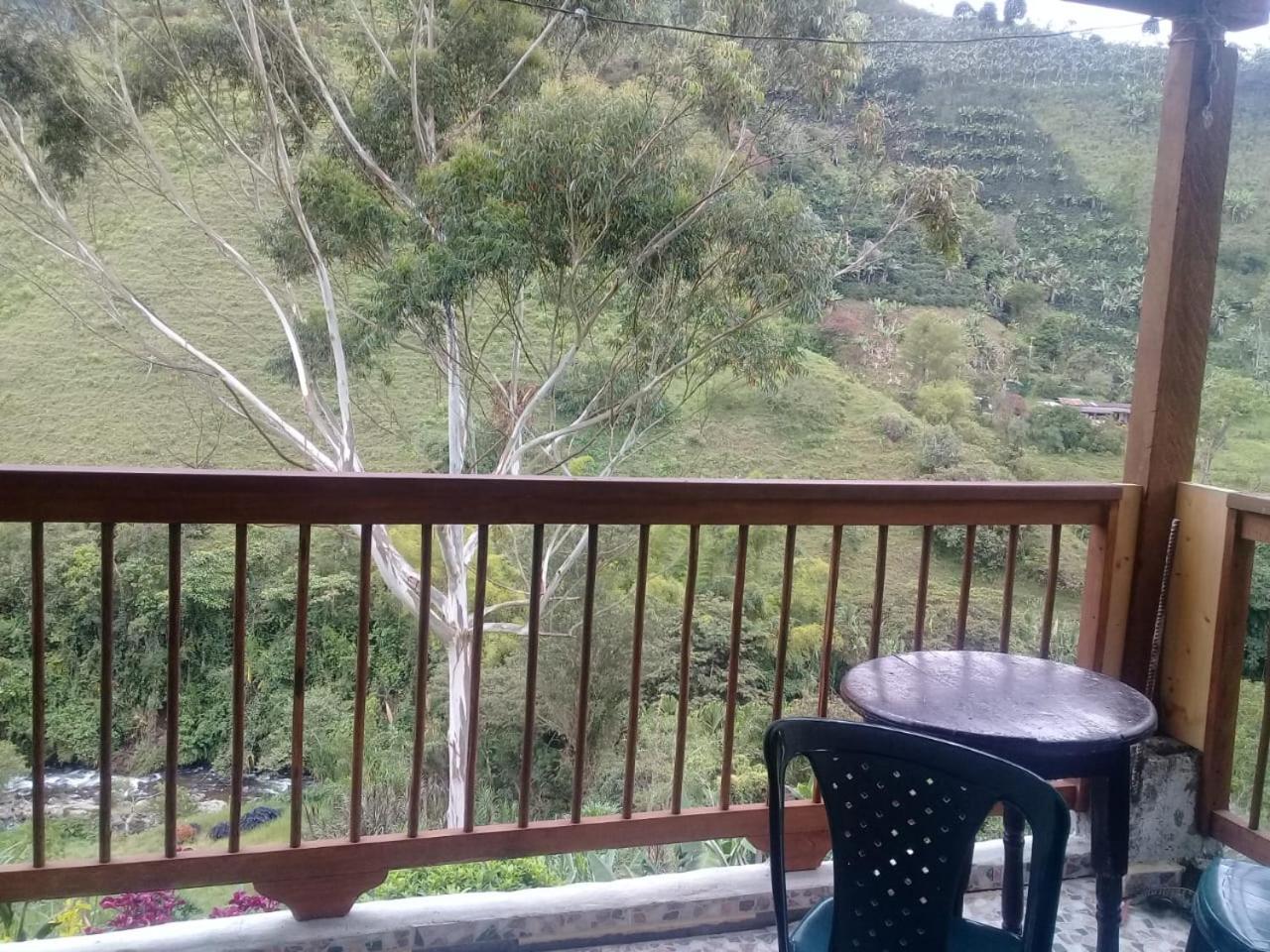 Double Room with Balcony photo 2
