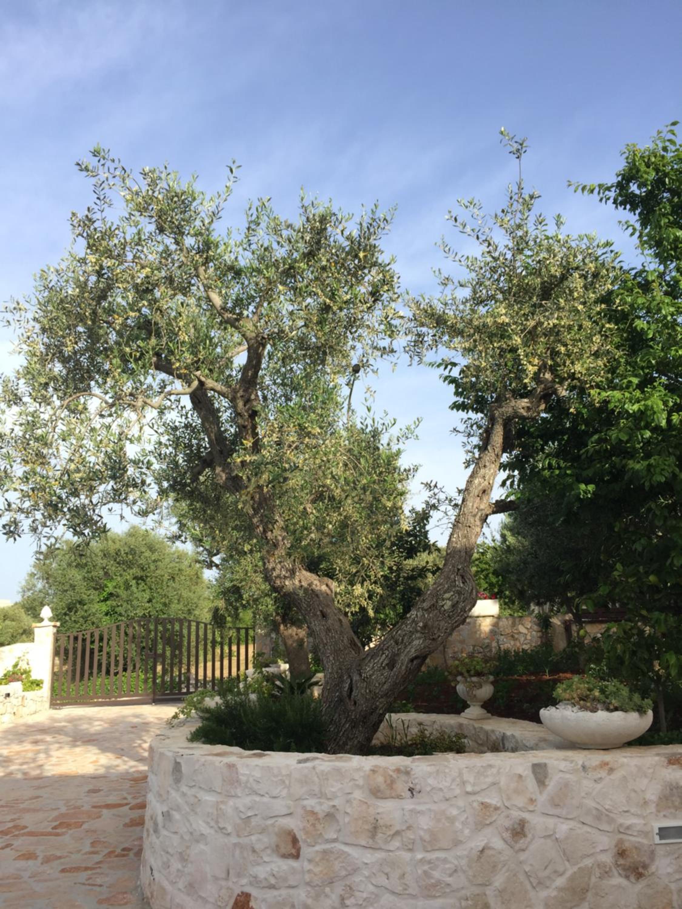 Villa - Photo 8
