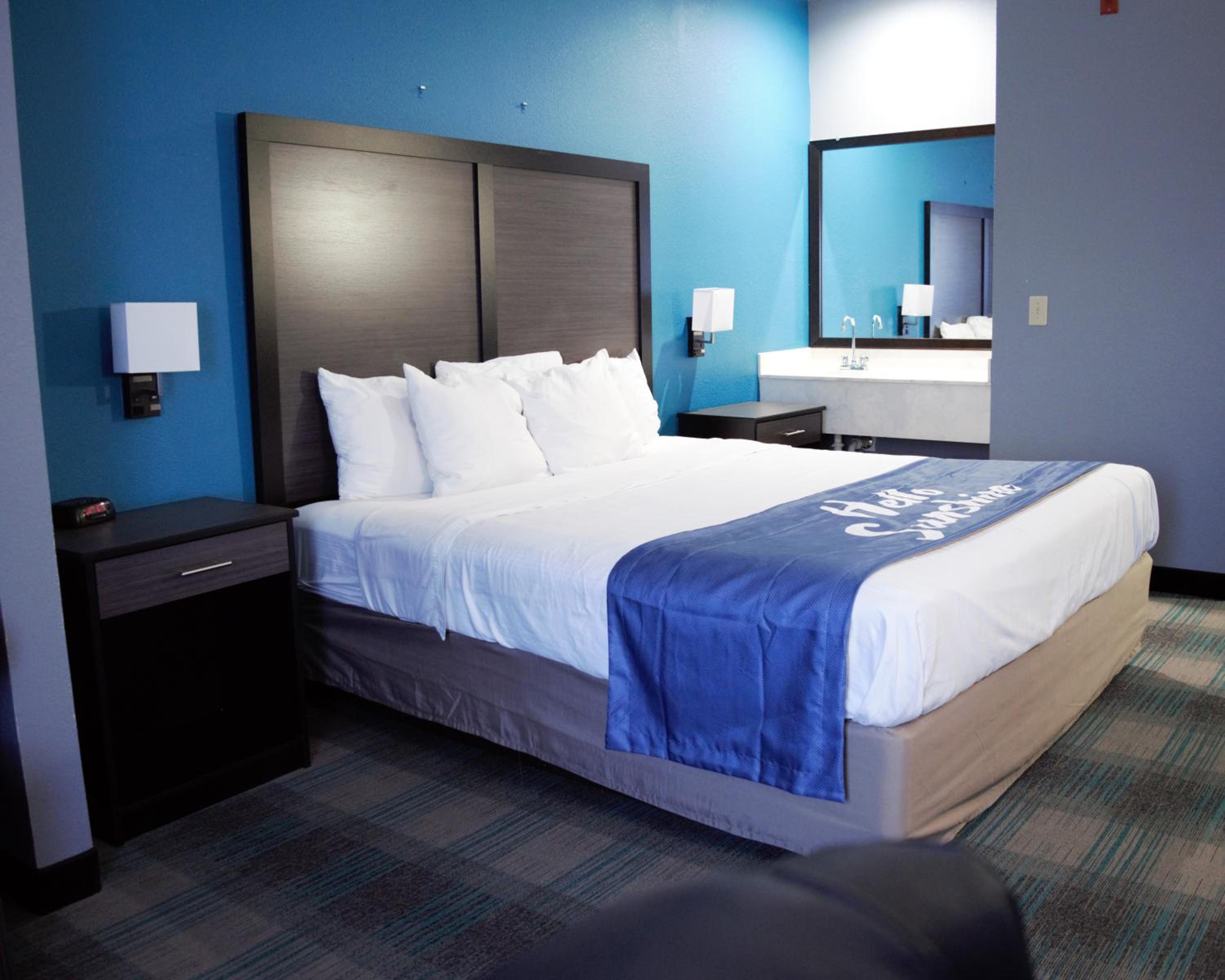 Deluxe King Suite - Photo 8