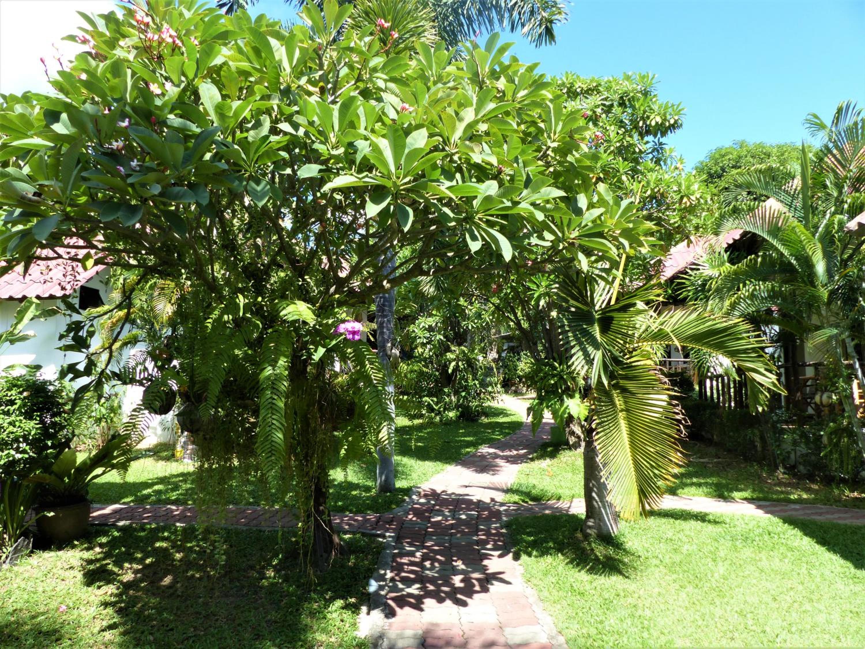 Double Room with Terrace photo 2