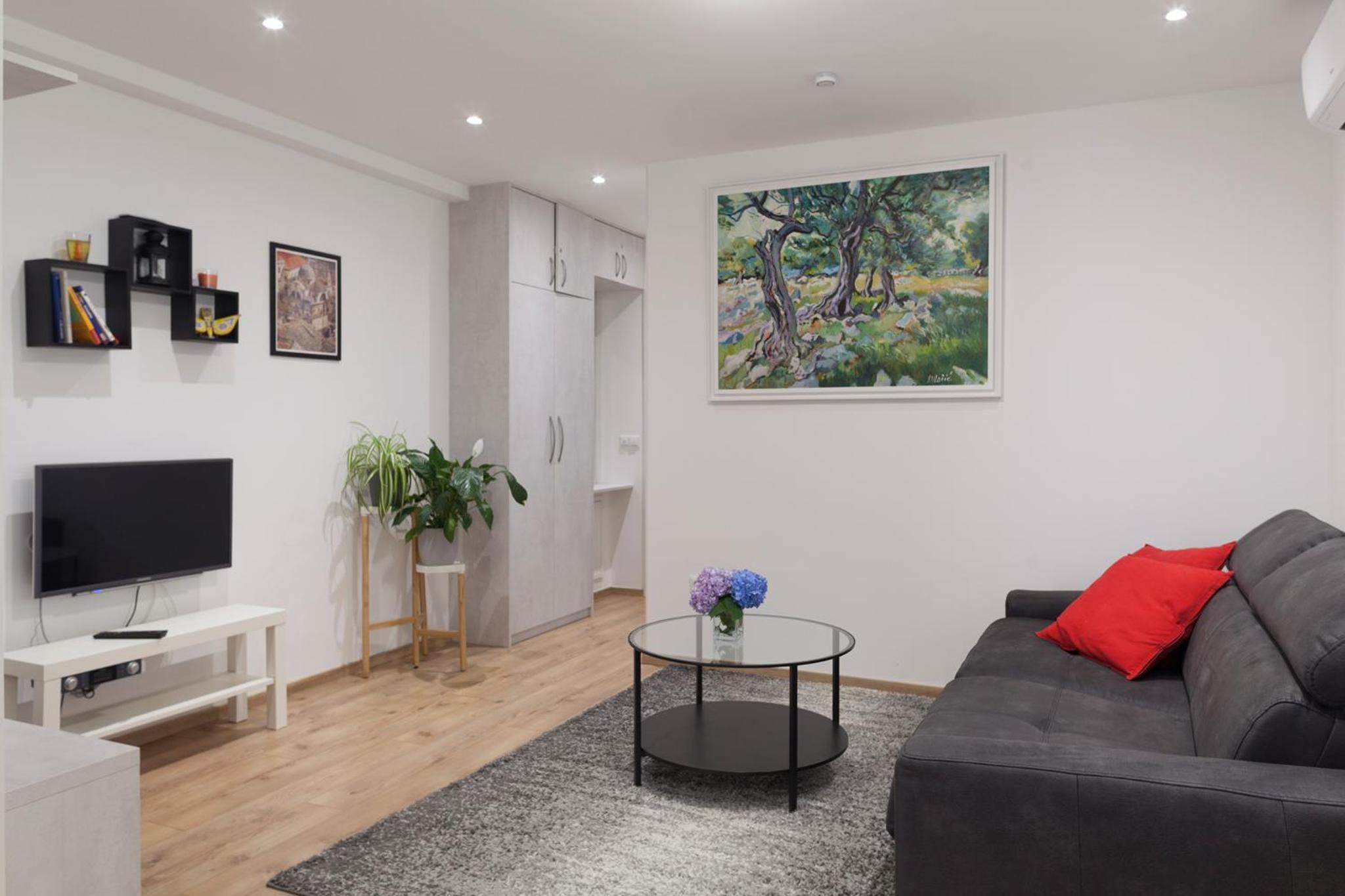 Superior Apartment
