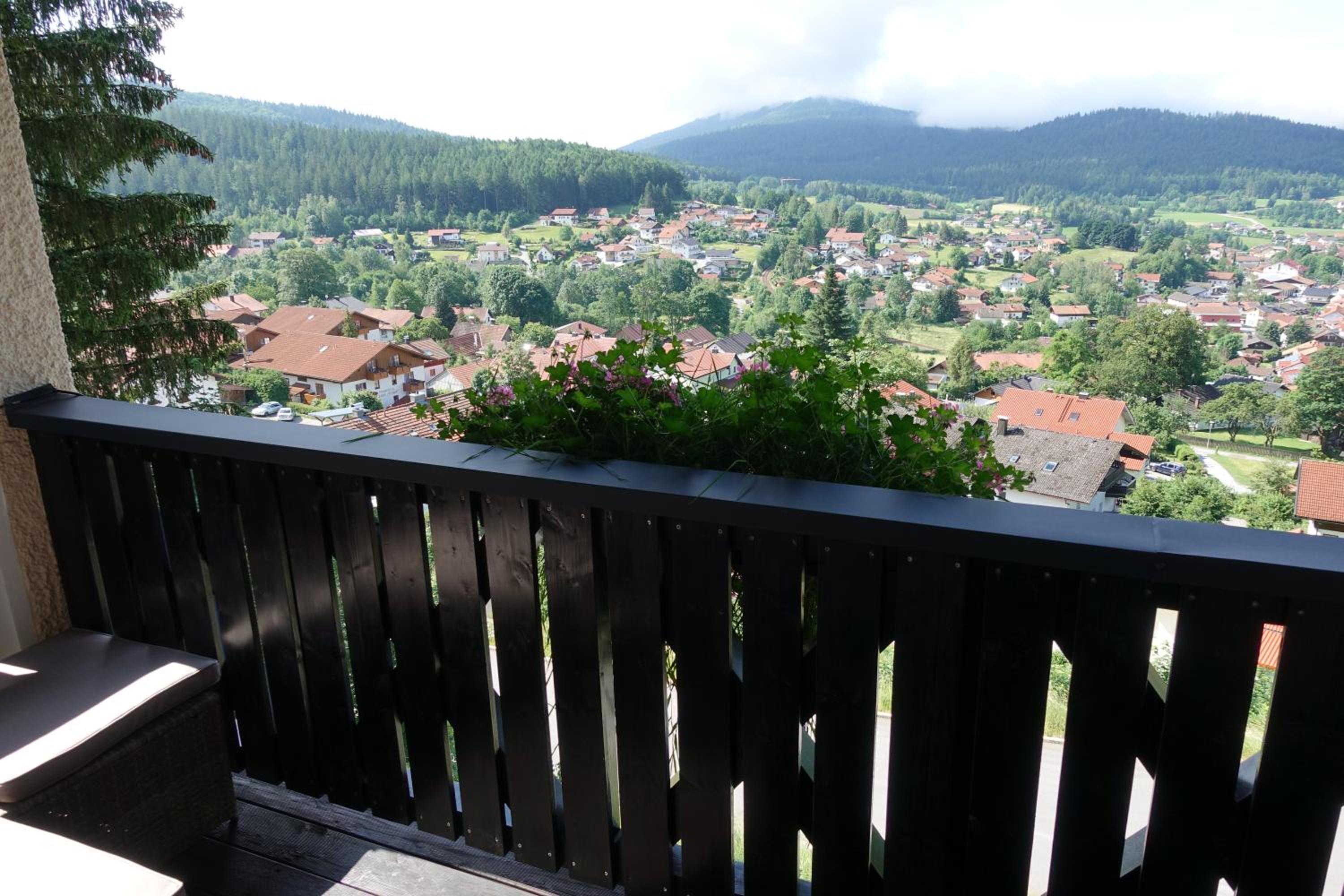 Suite with Mountain View photo 3