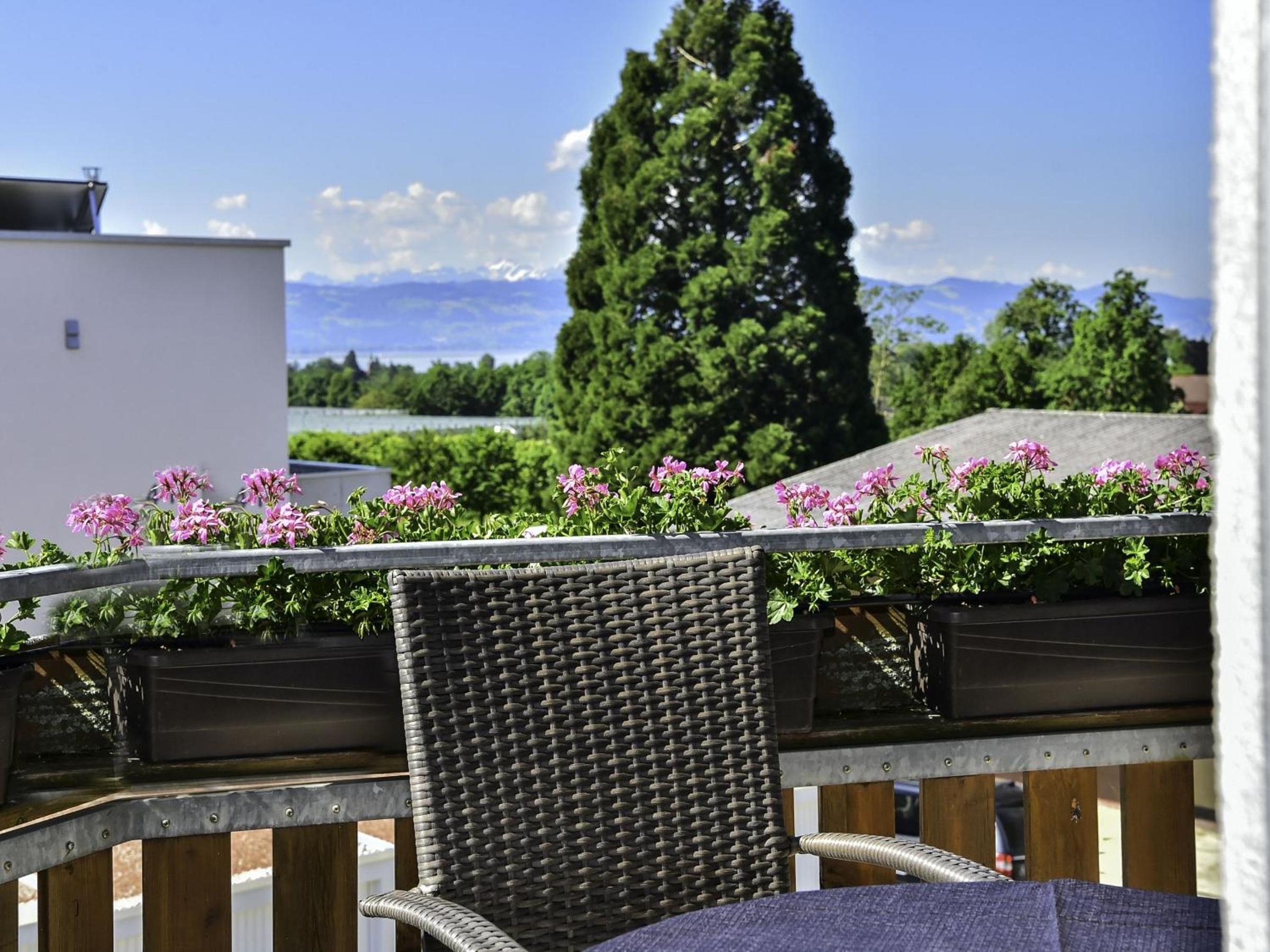 Superior One-Bedroom Apartment with Balcony photo 3