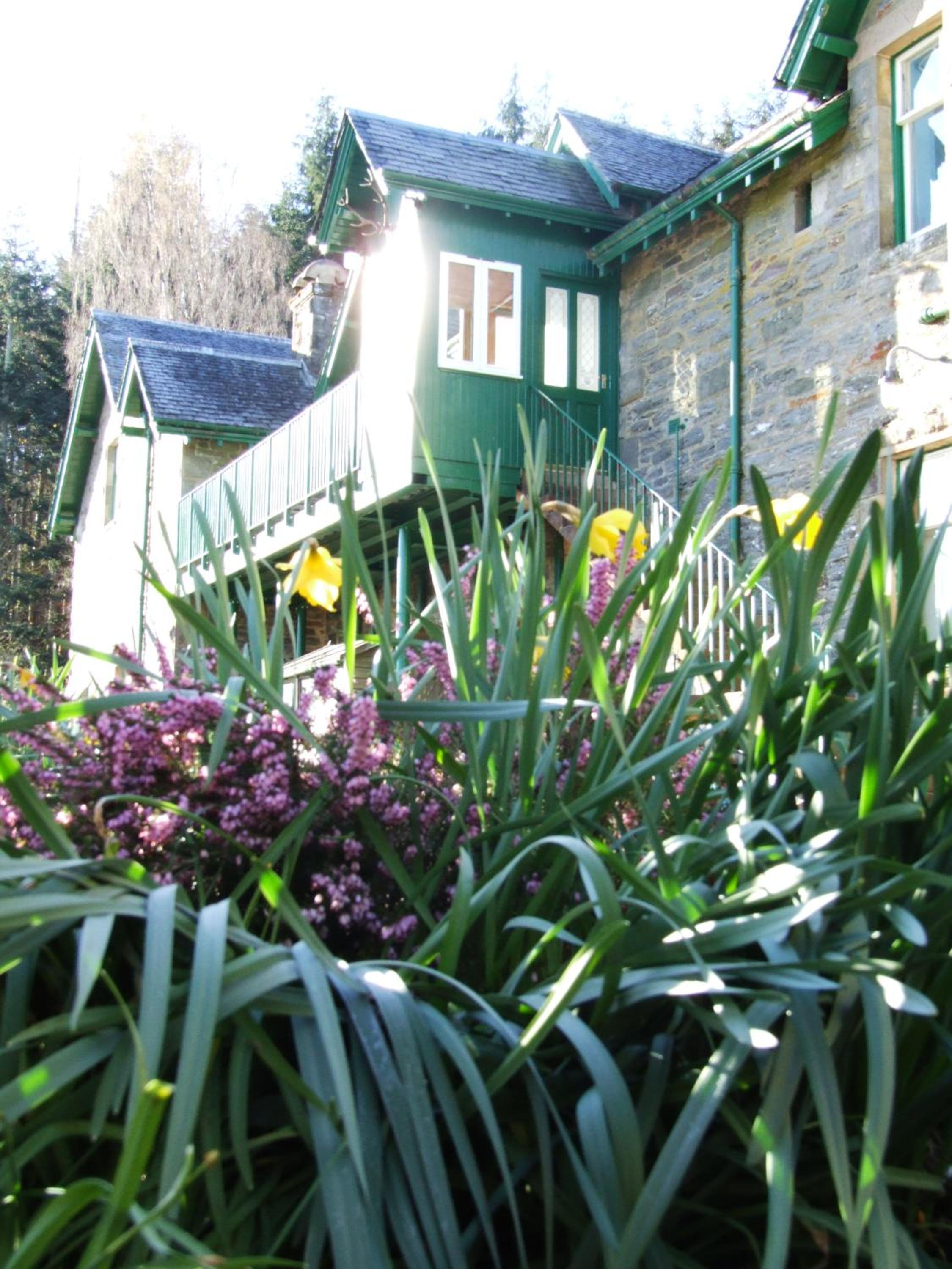 Four-Bedroom House photo 3