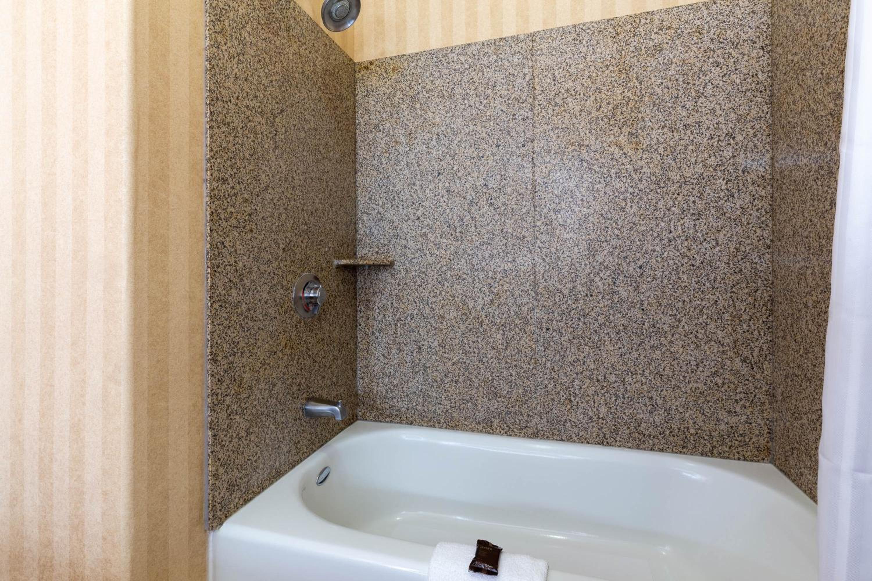 Deluxe King Studio Suite - Non-Smoking - Photo 5