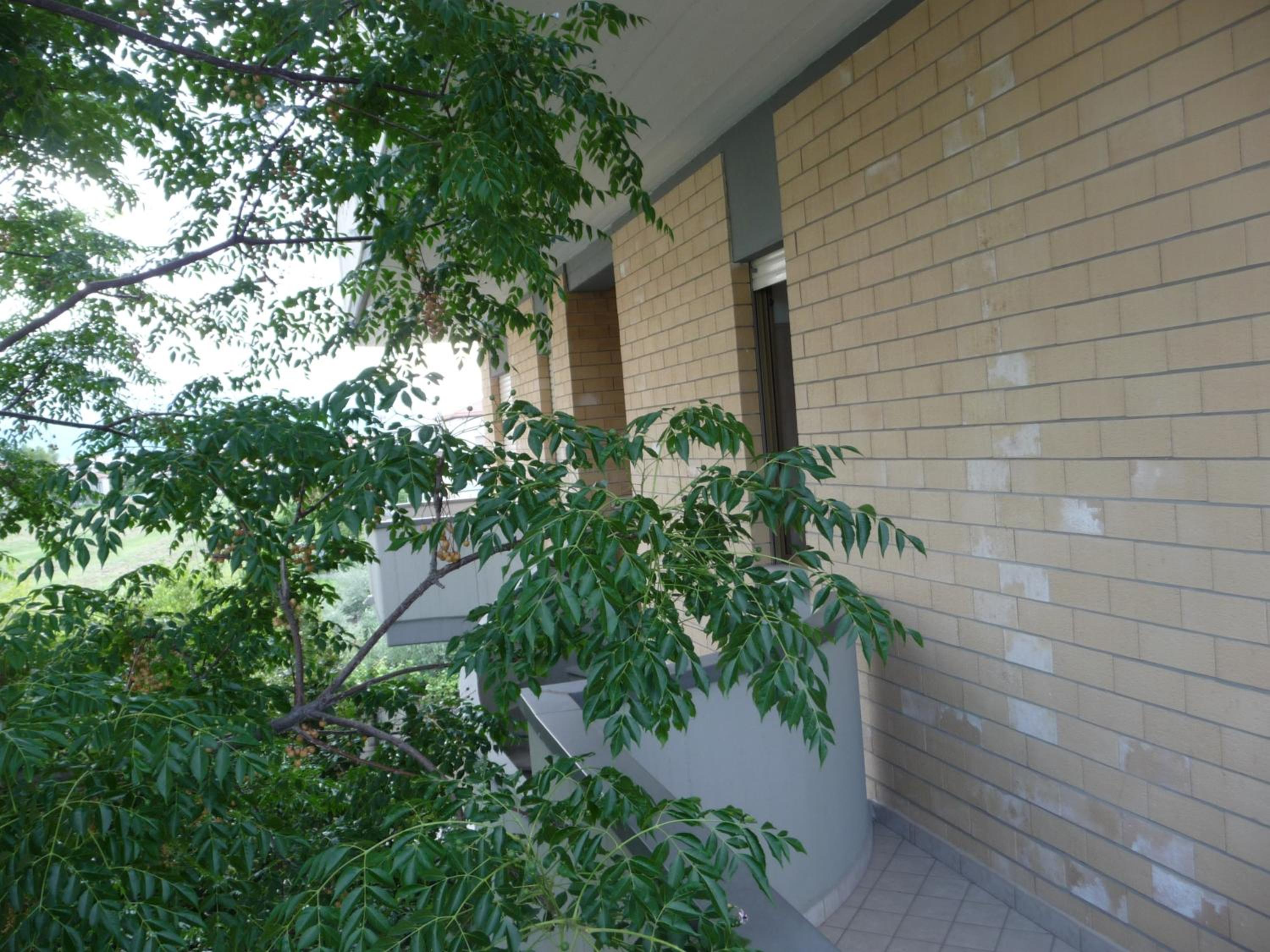 Double or Twin Room - Photo 6