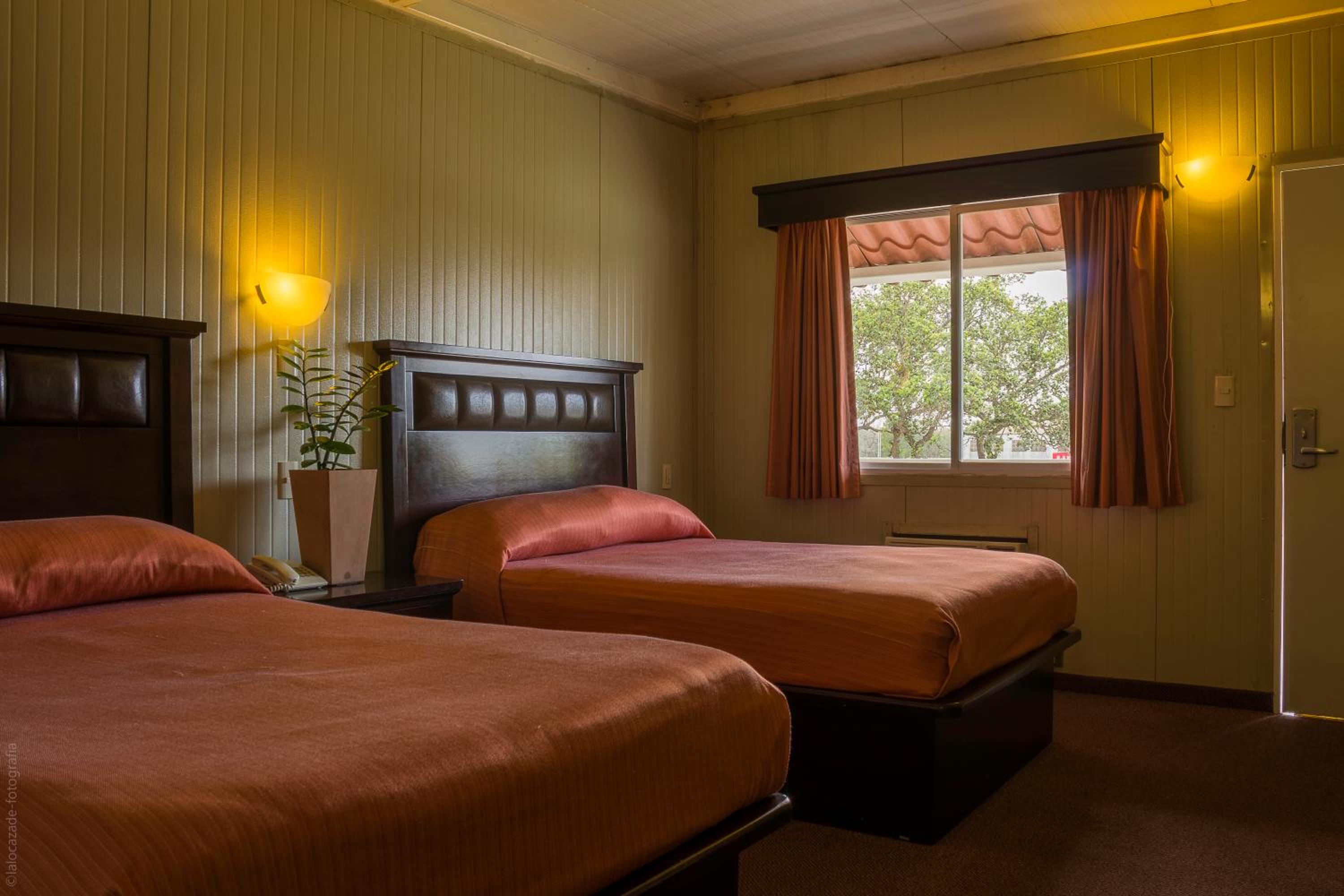 Twin Room with Garden View - Photo 5