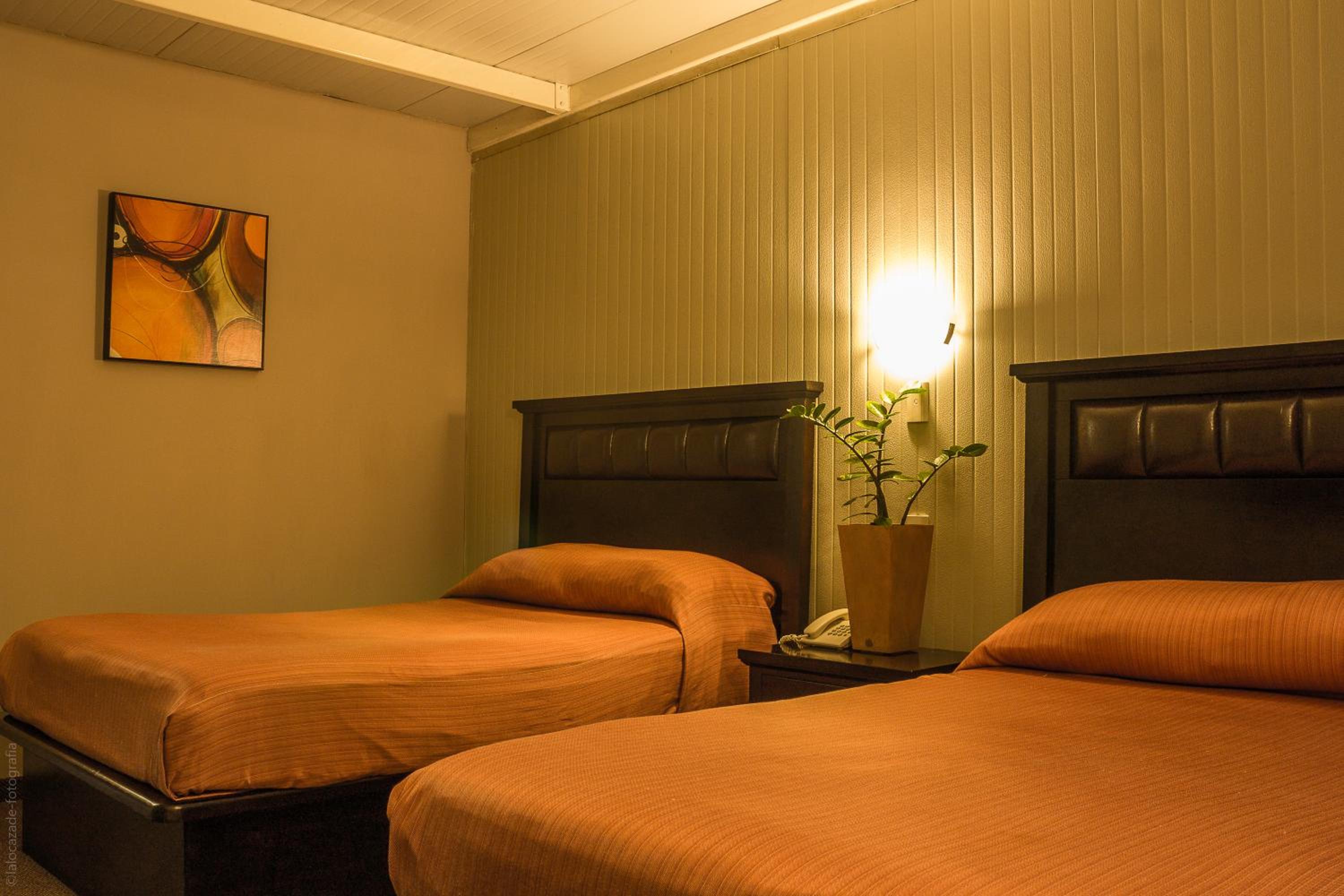 Twin Room with Garden View - Photo 1
