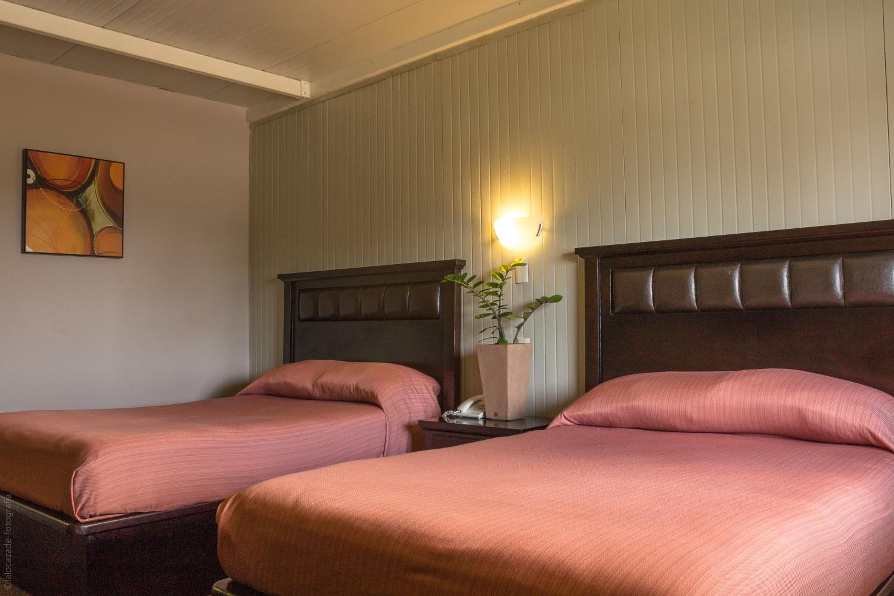Twin Room with Garden View - Photo 4