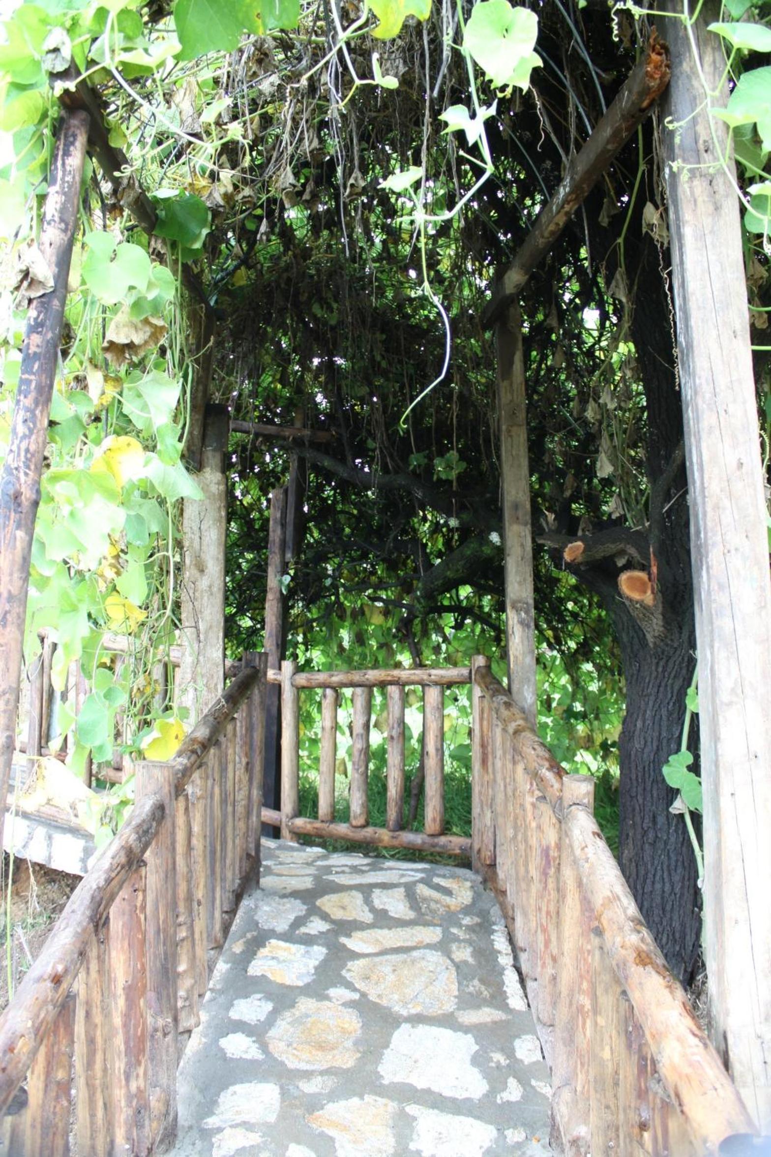 Chalet photo 3