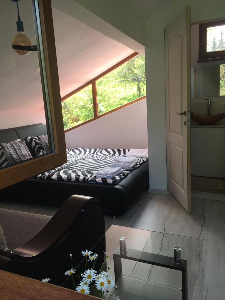 Family Room With Private Bathroom photo 3