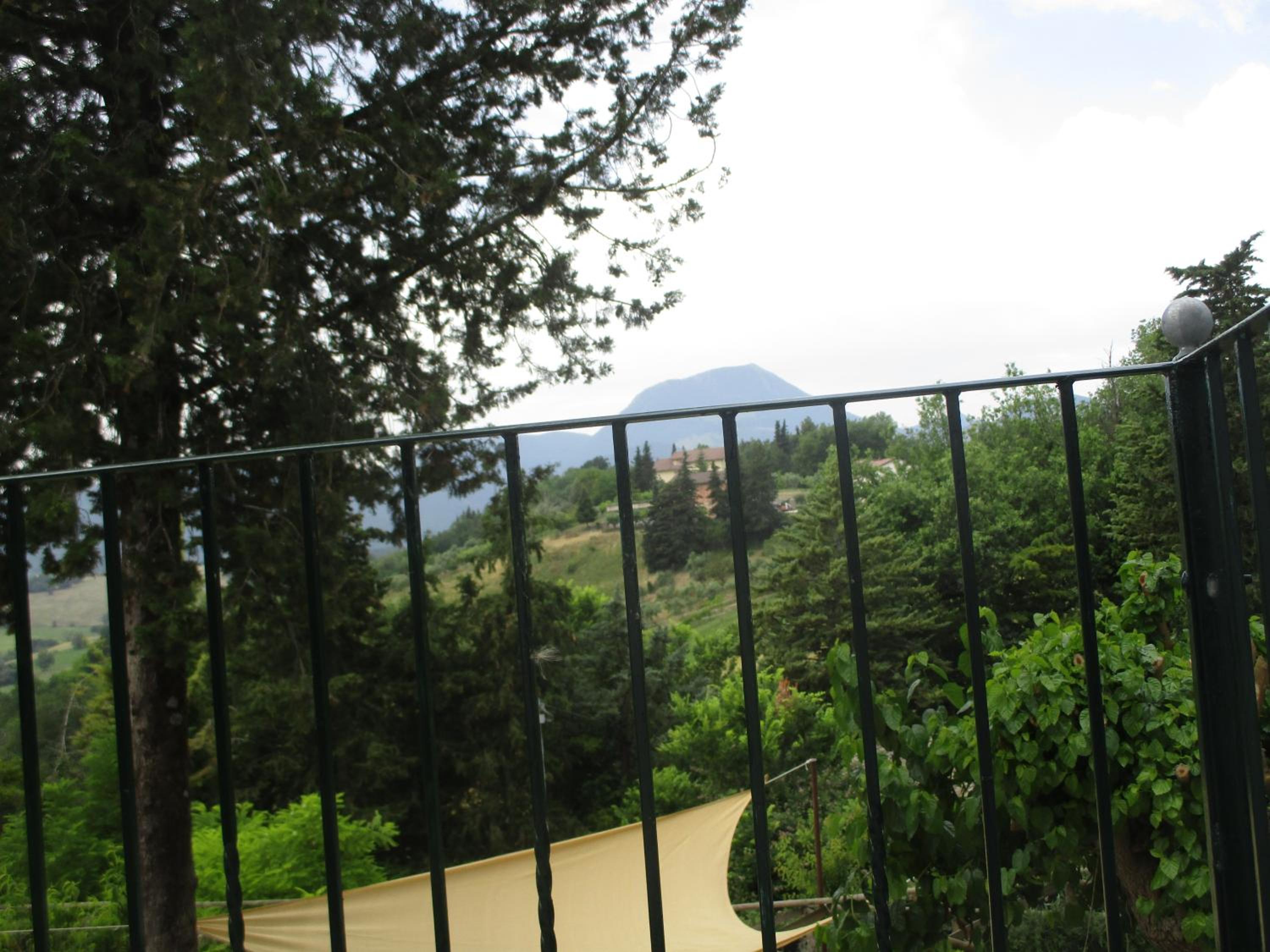 Double Room with Mountain View photo 2