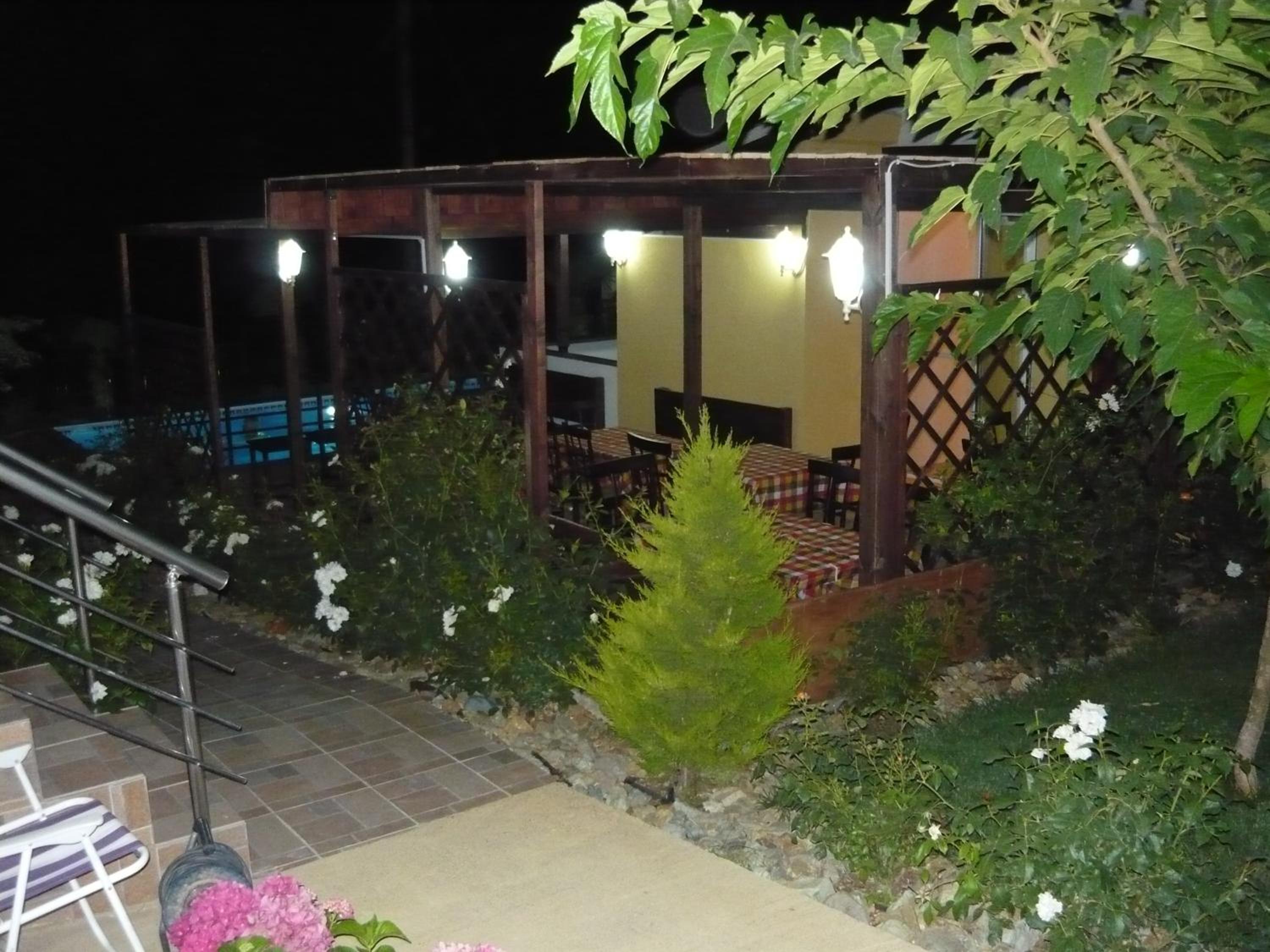 Family Studio