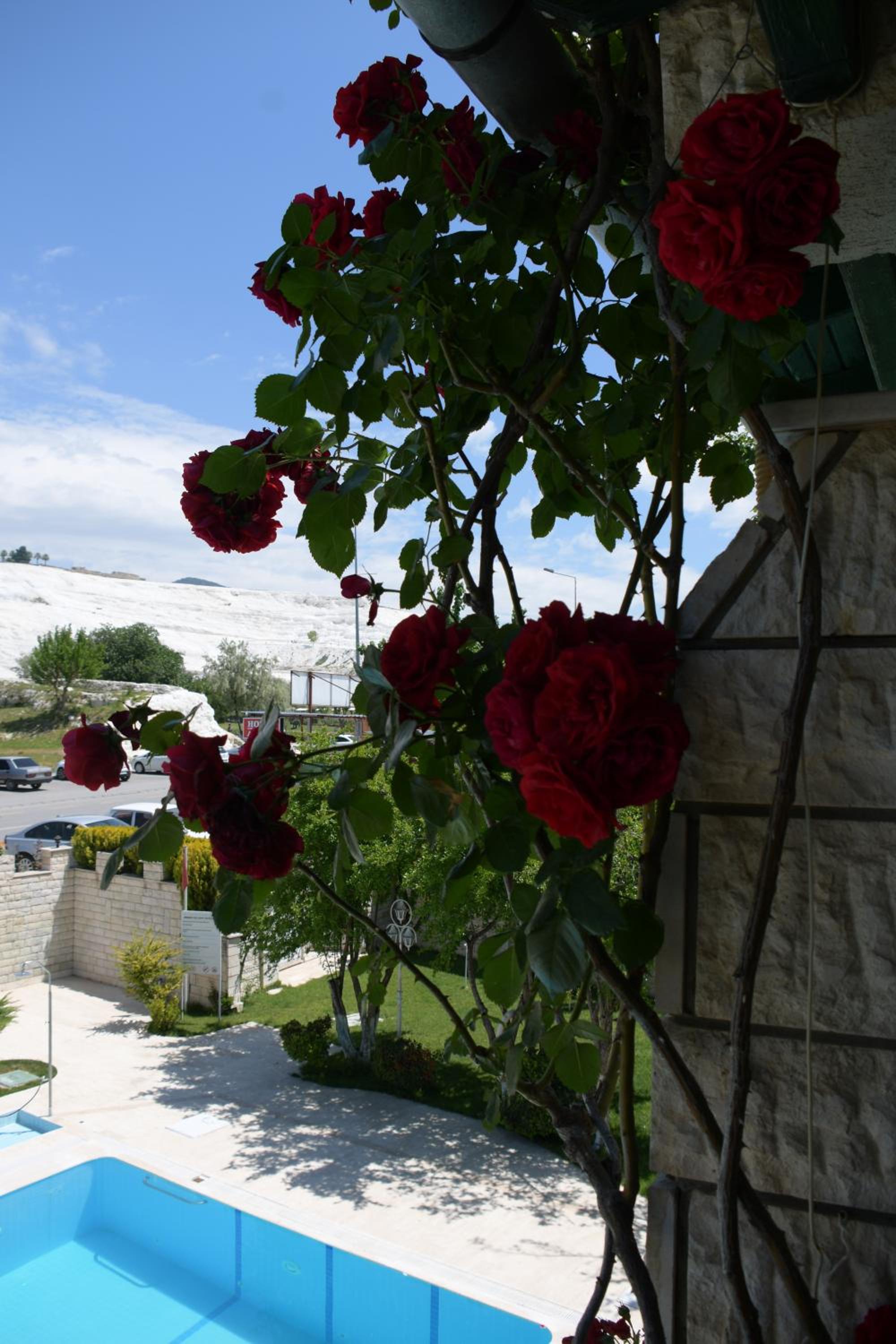 Double Room with Pamukkale View - Photo 6