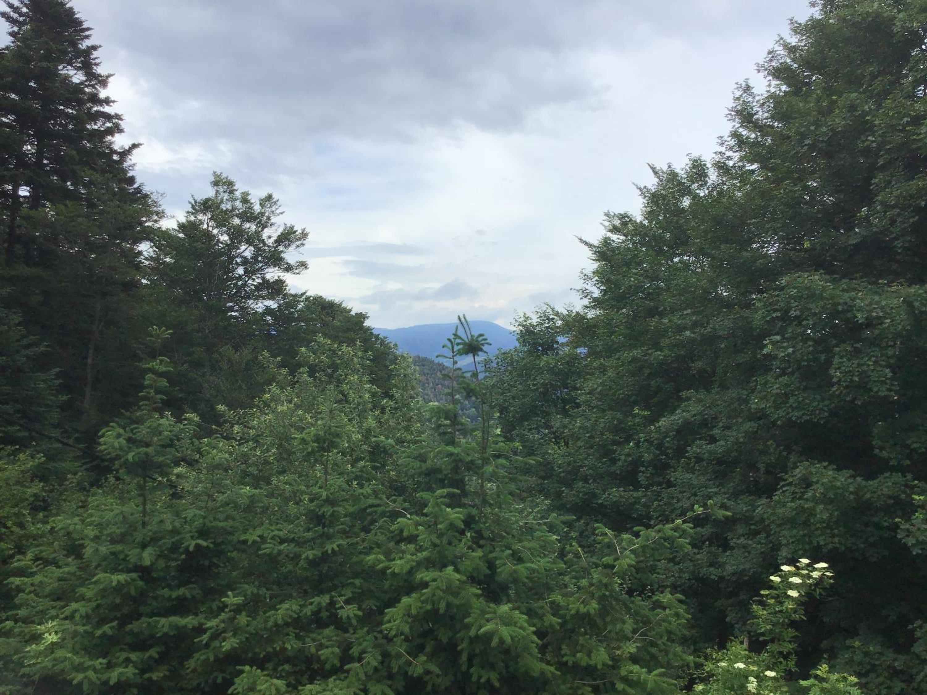 Double Room with Mountain View photo 1