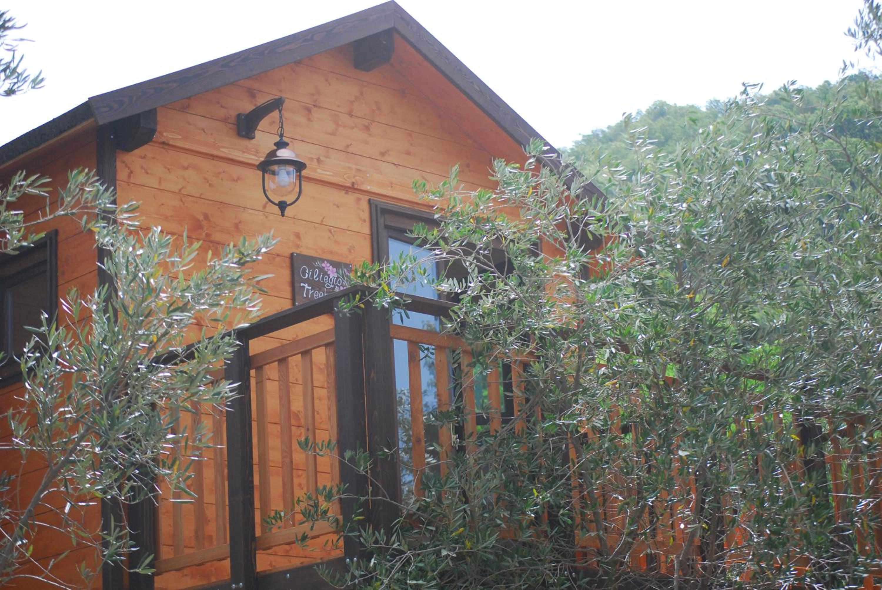 Superior Bungalow photo 3