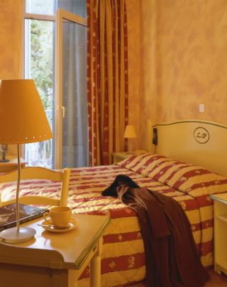 Suite photo 2