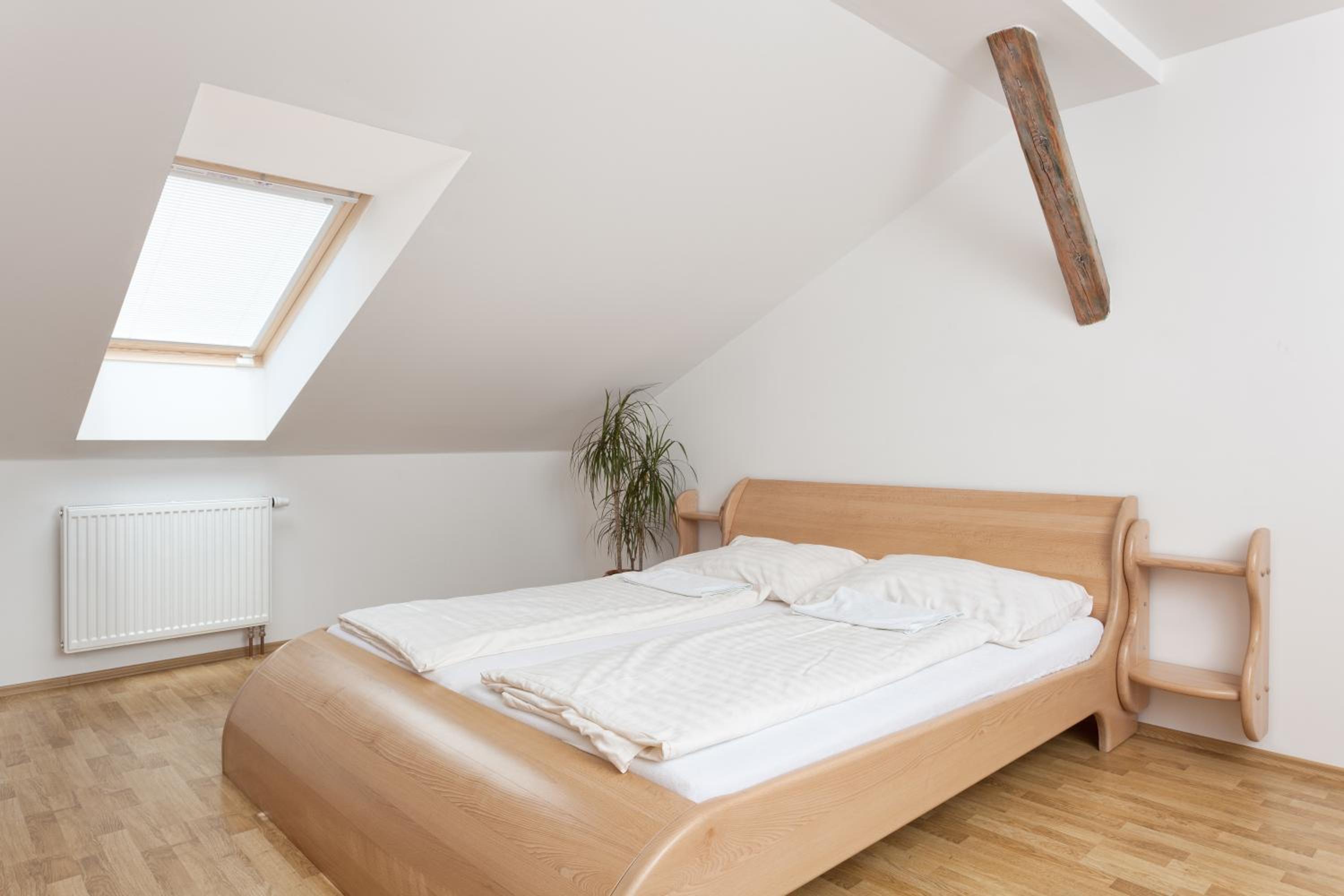 Double or Twin Room photo 3