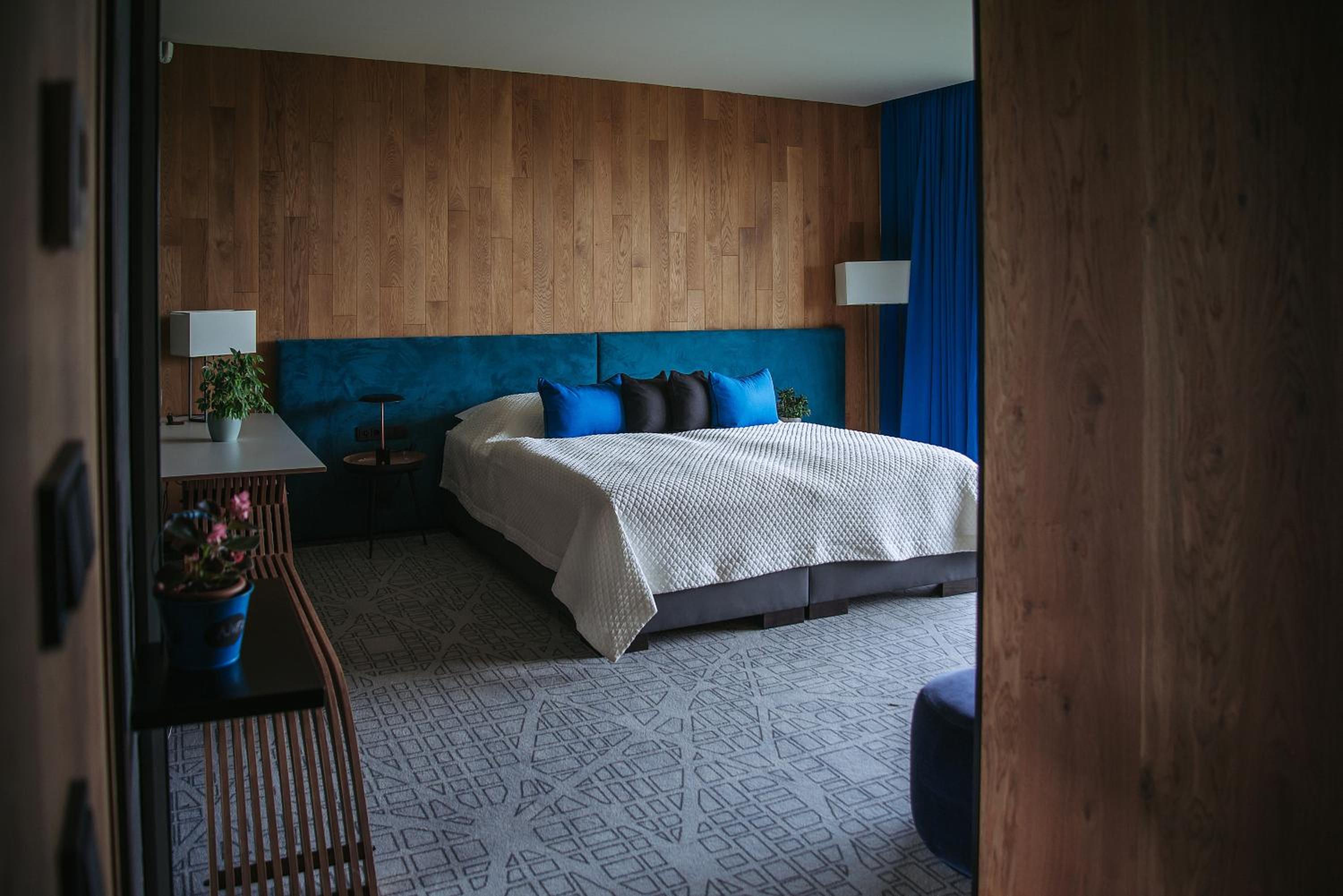 Deluxe Room - Photo 16