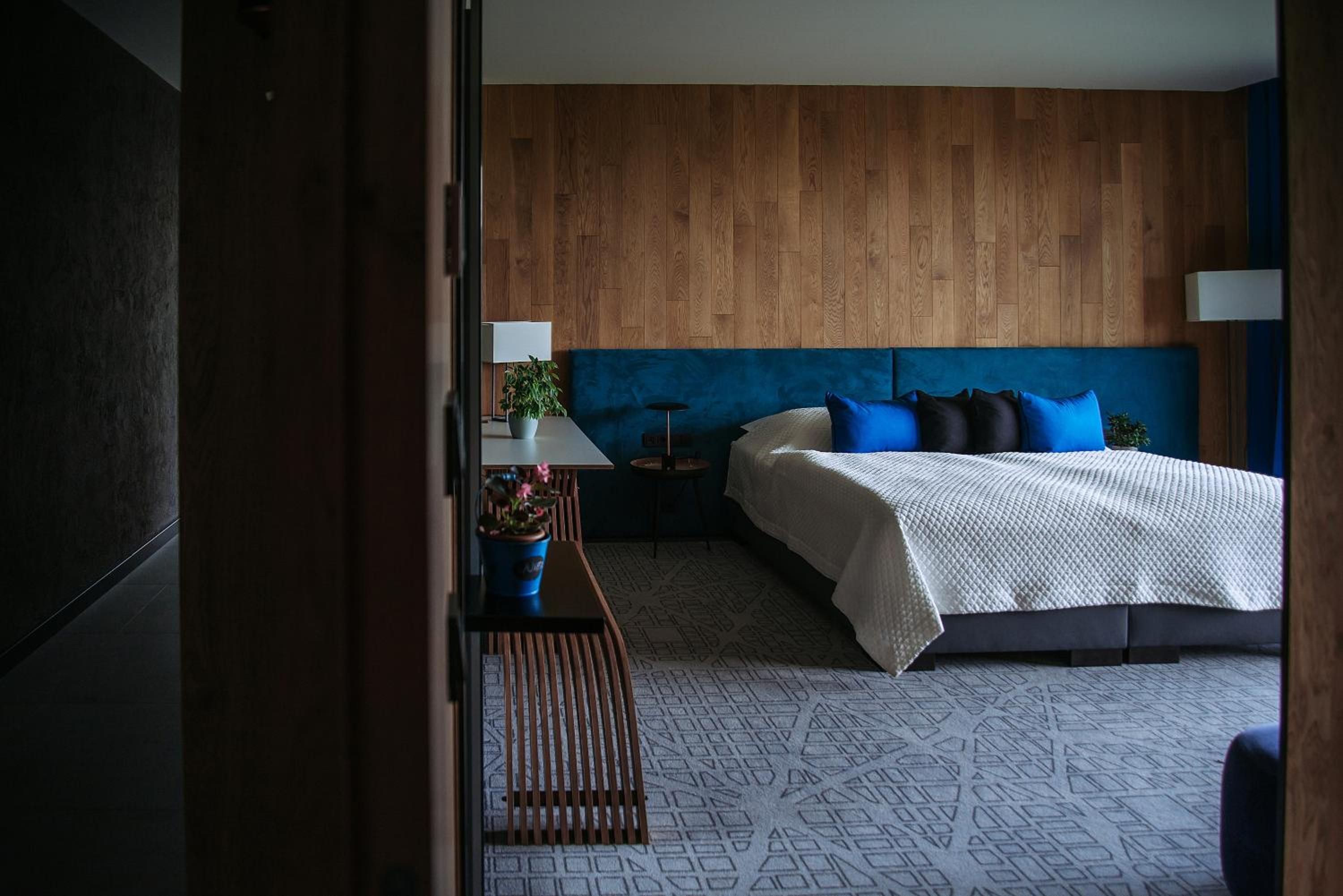 Deluxe Room - Photo 6