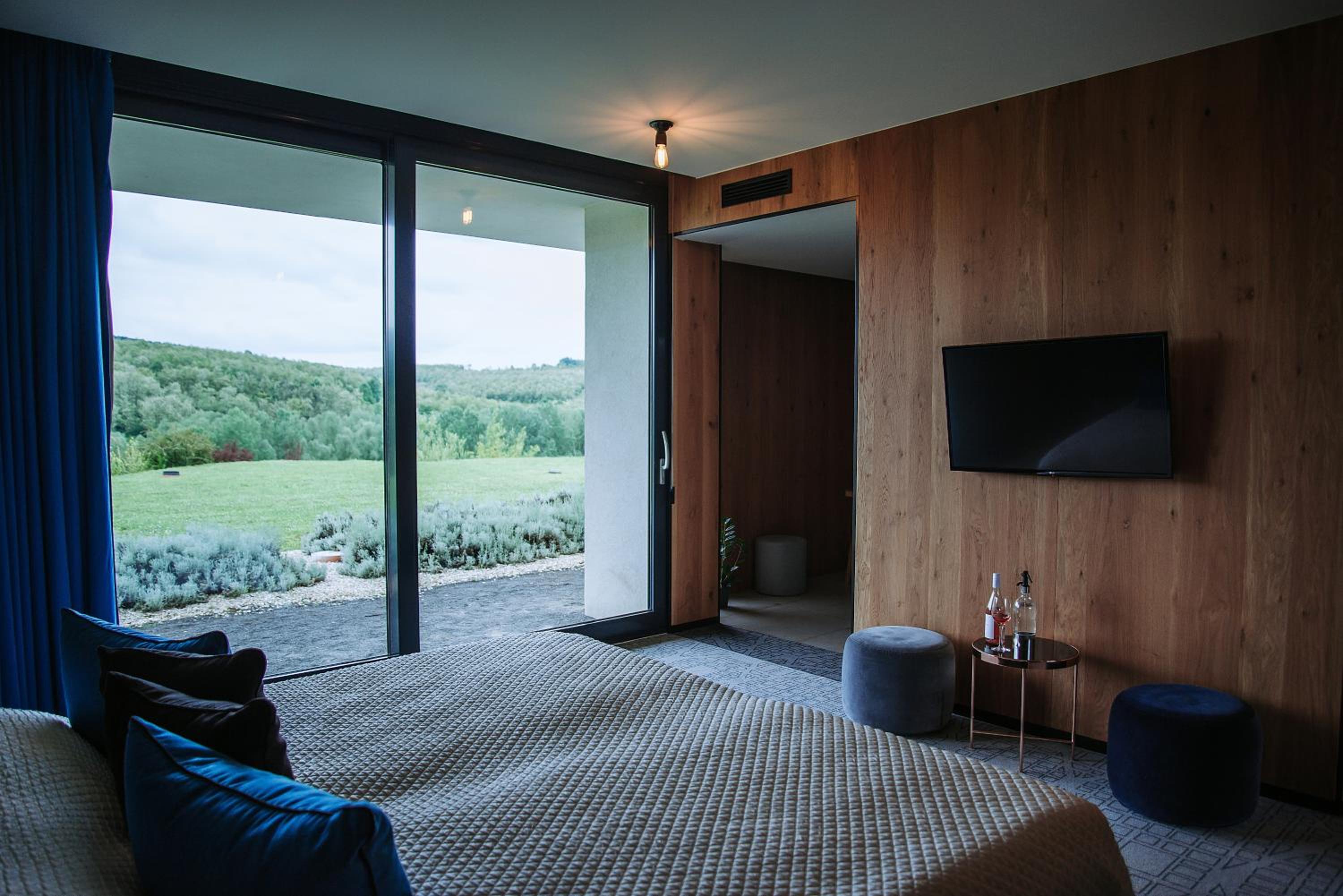 Deluxe Room - Photo 14