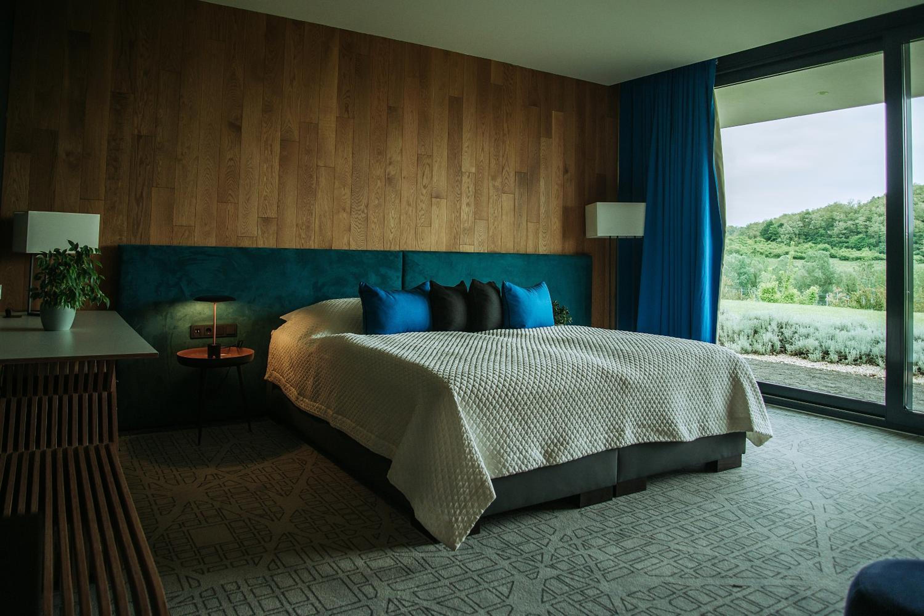Deluxe Room - Photo 9