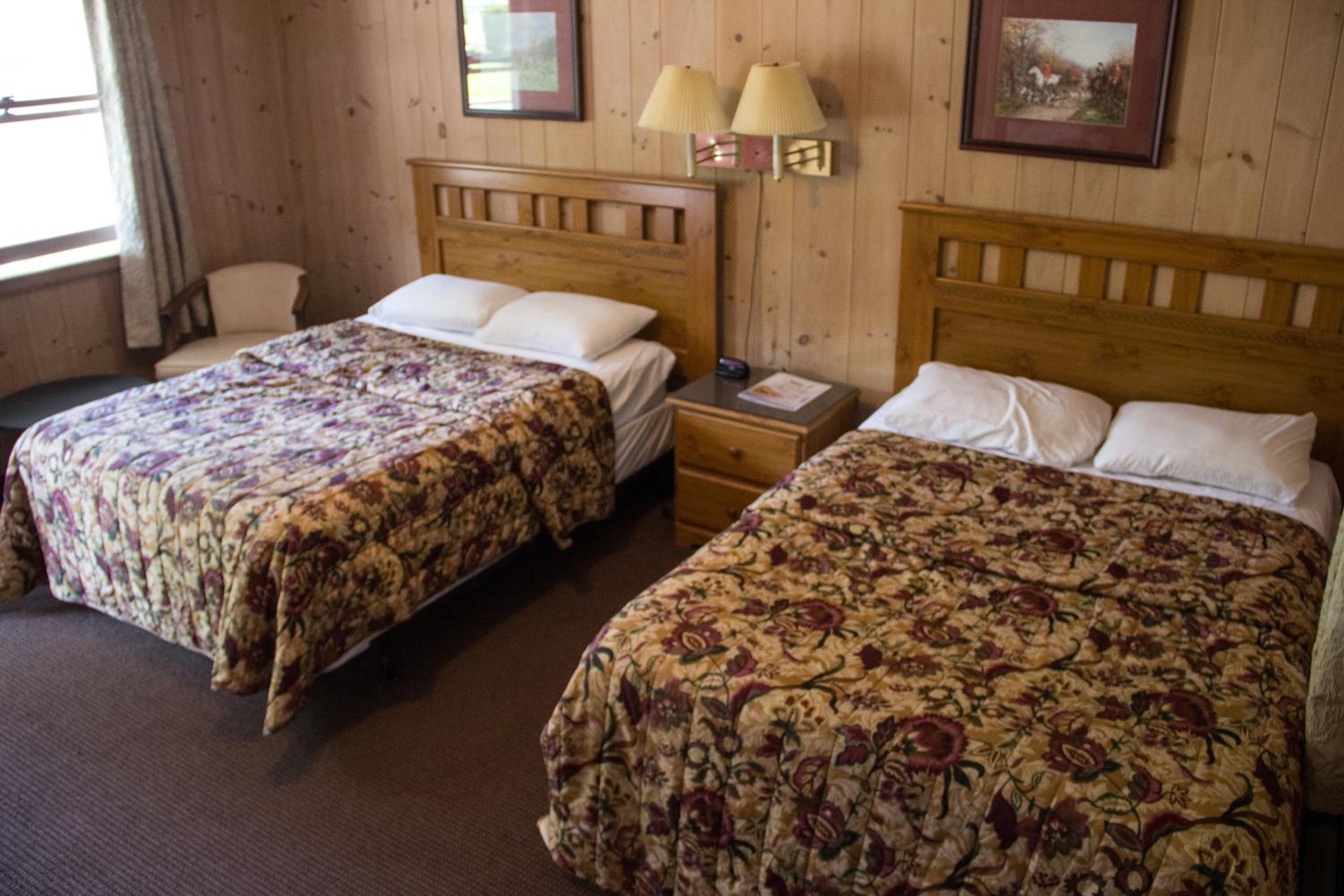 Double or Twin Room photo 1