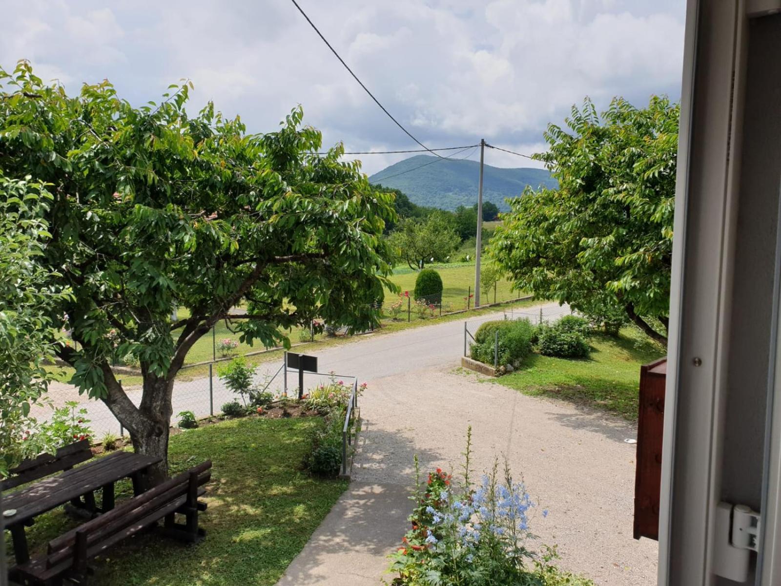 Apartment with Garden View - Photo 8