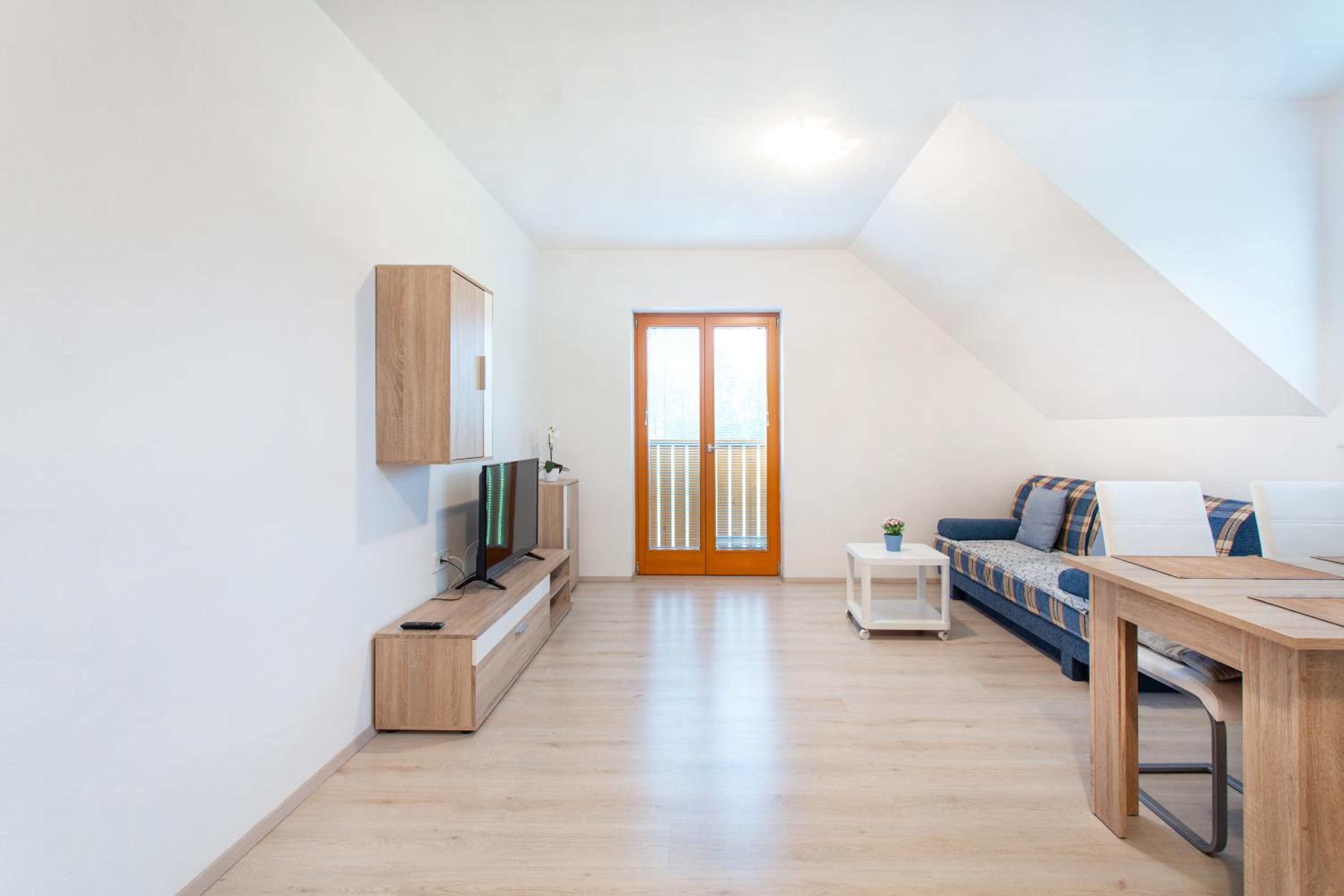 One-Bedroom Apartment with Mountain View
