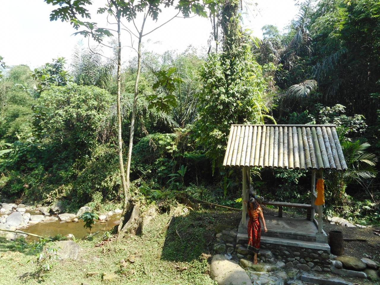 Family Bungalow - Photo 4