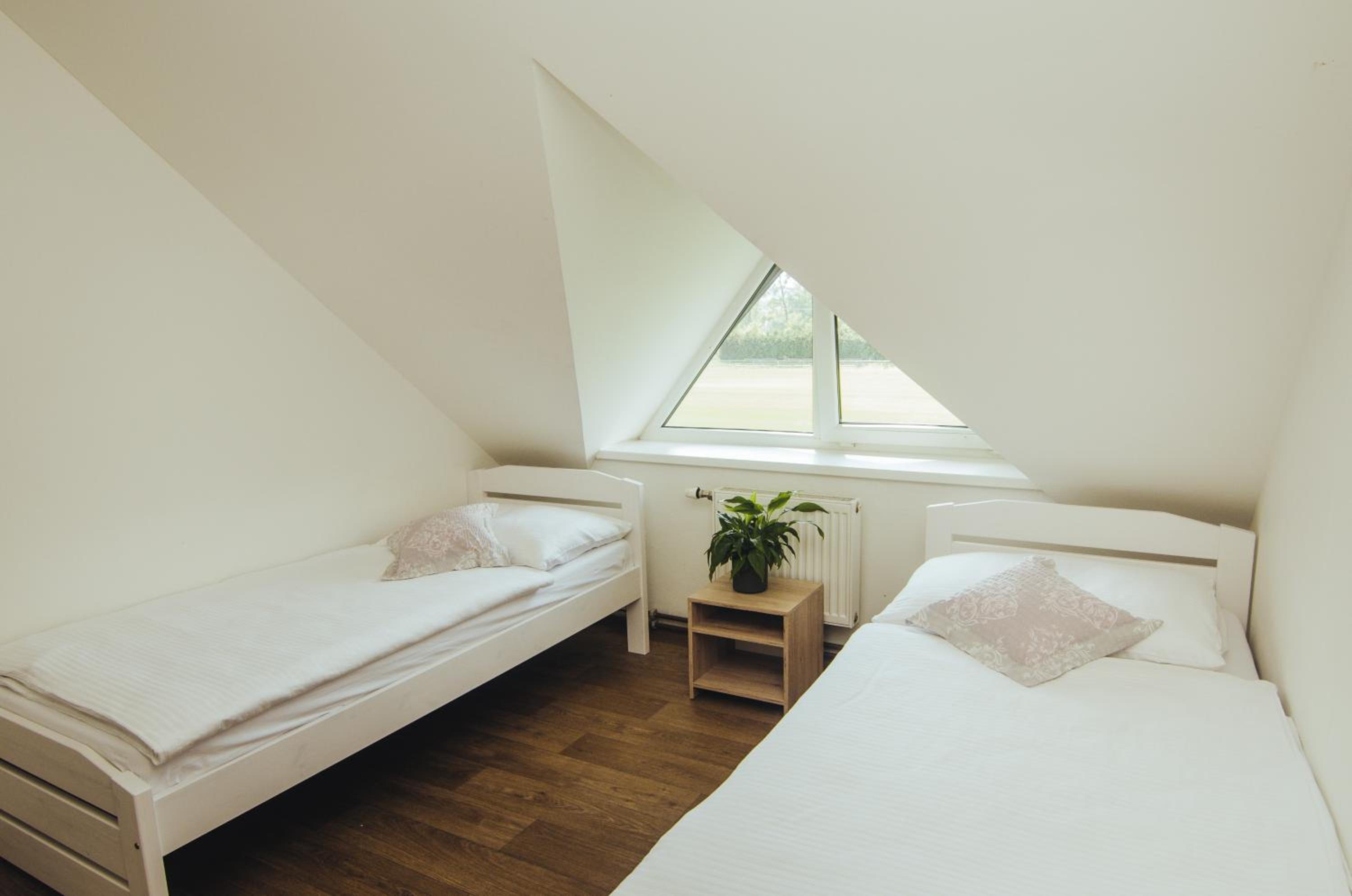 Standard Twin Room photo 2