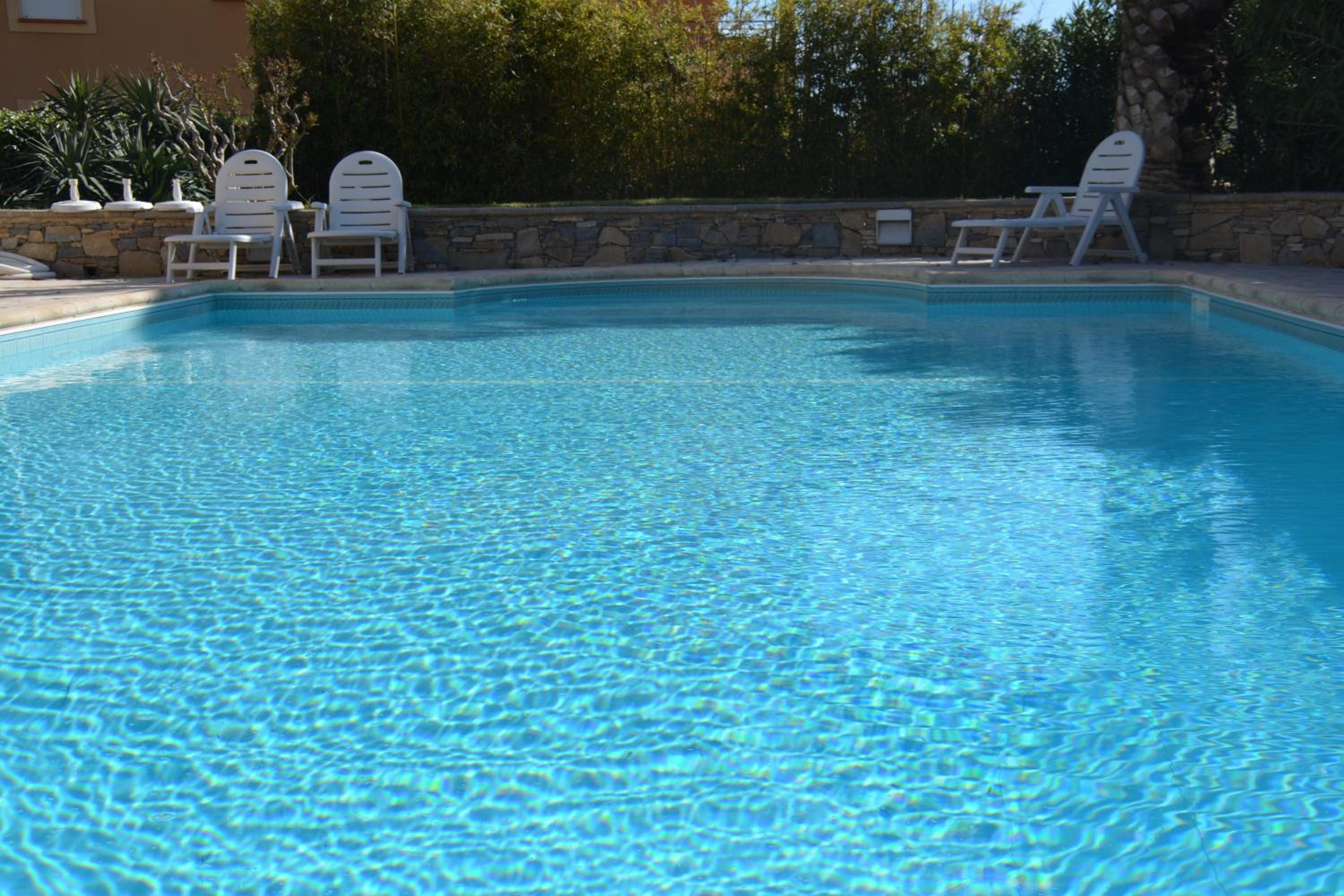 King Room with Pool View photo 3