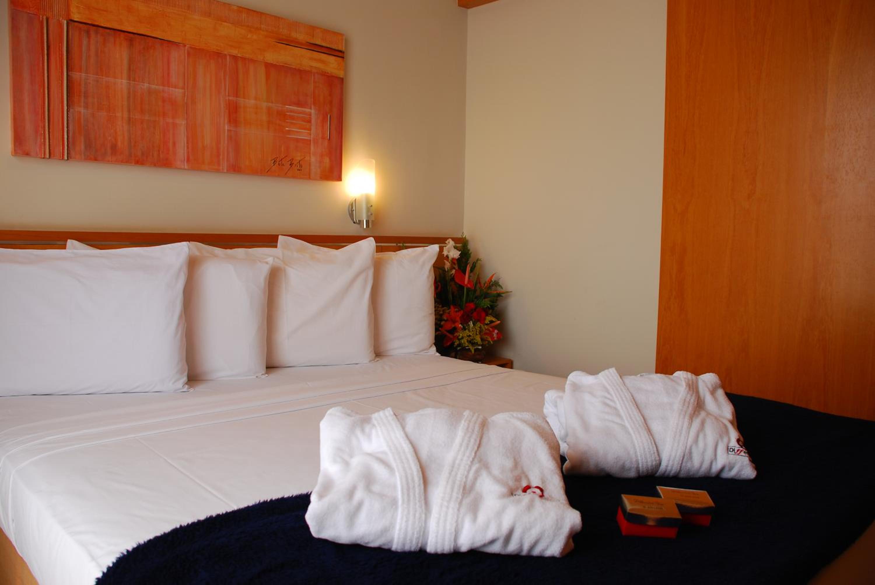 Superior Room with 1 Double Bed and Mountain View photo 3